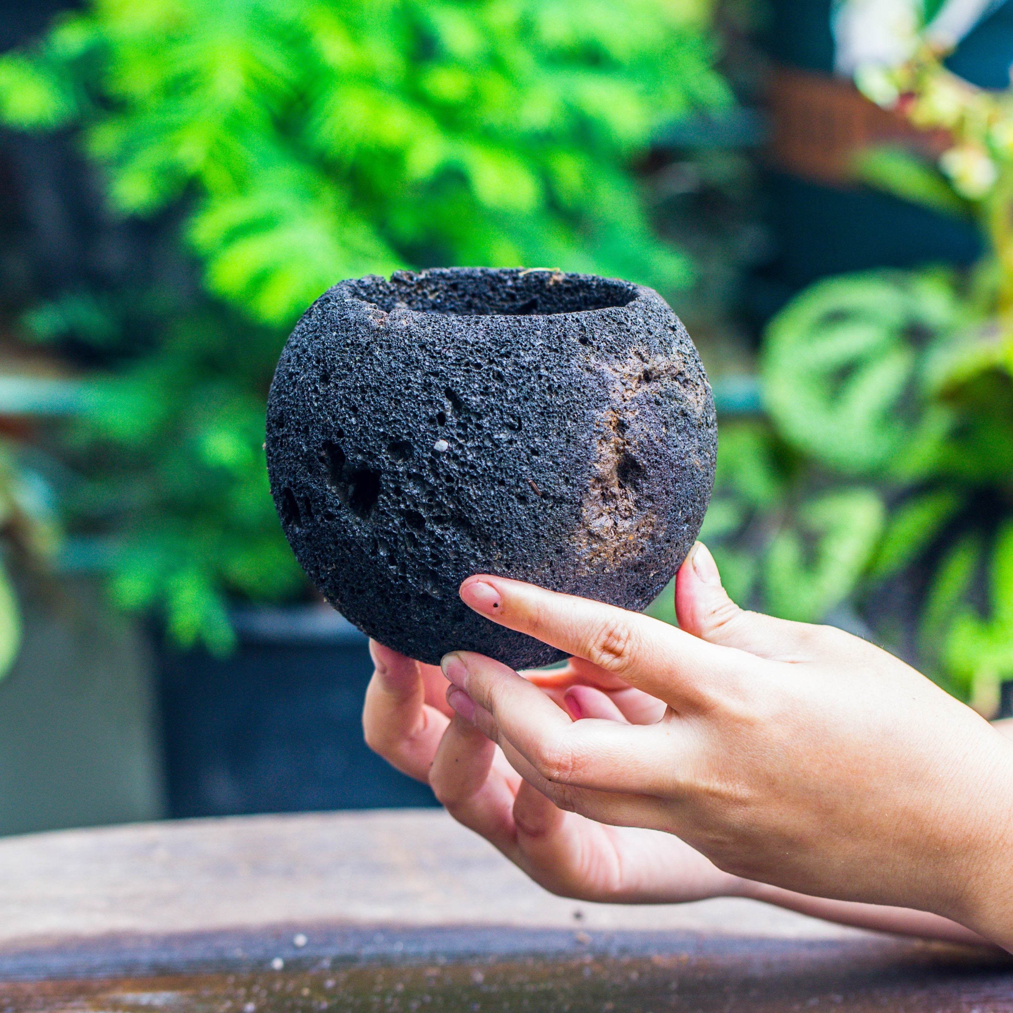 12cm / 4.7" Round Red Horticultural Lava Rock Volcanic Rock Planter for succulents, moss, tropical palants, terrariums - NCYPgarden