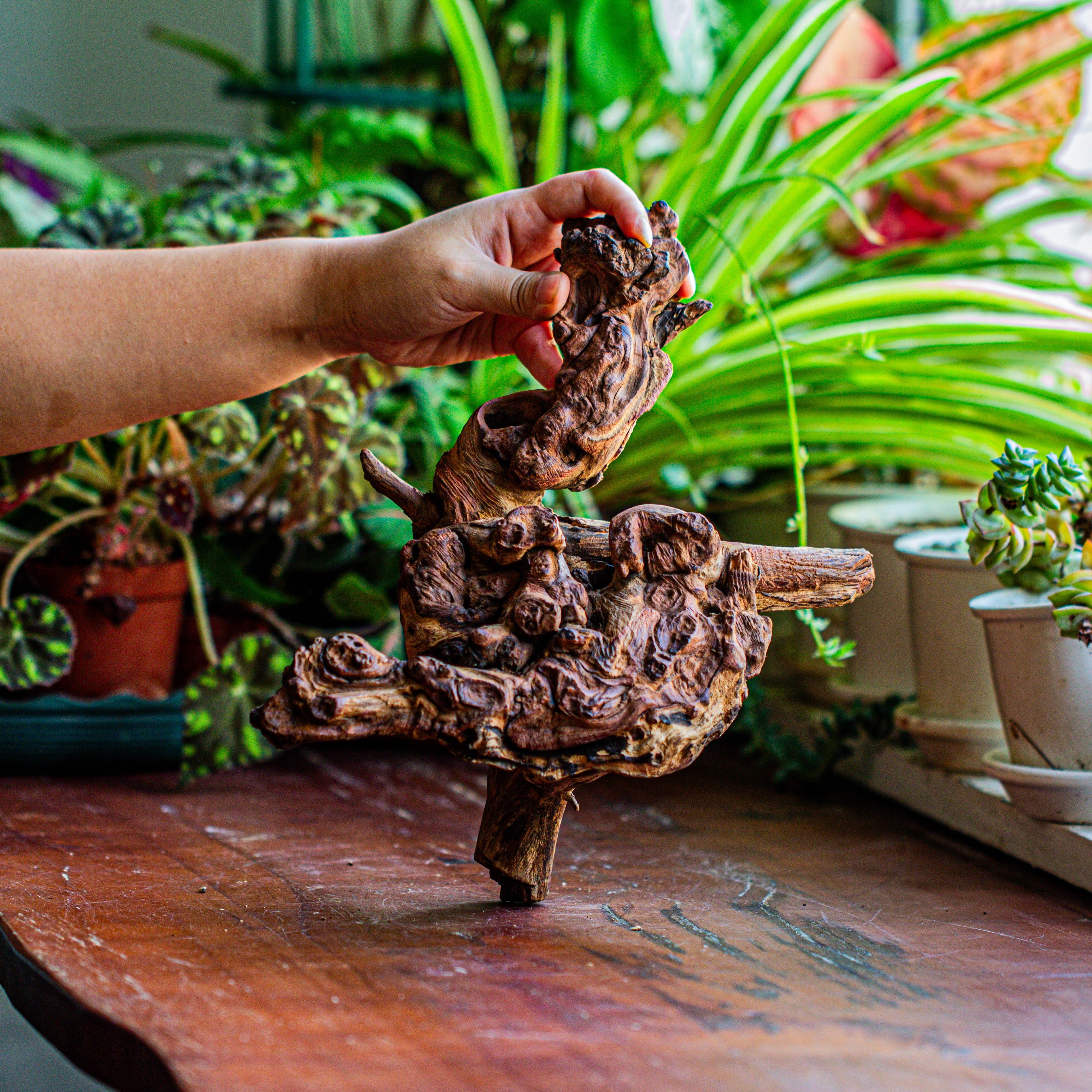 Natural driftwood for moss terrarium, miniature, micro landscape, unique  12-12, suitable for both live and preserved moss - NCYPgarden