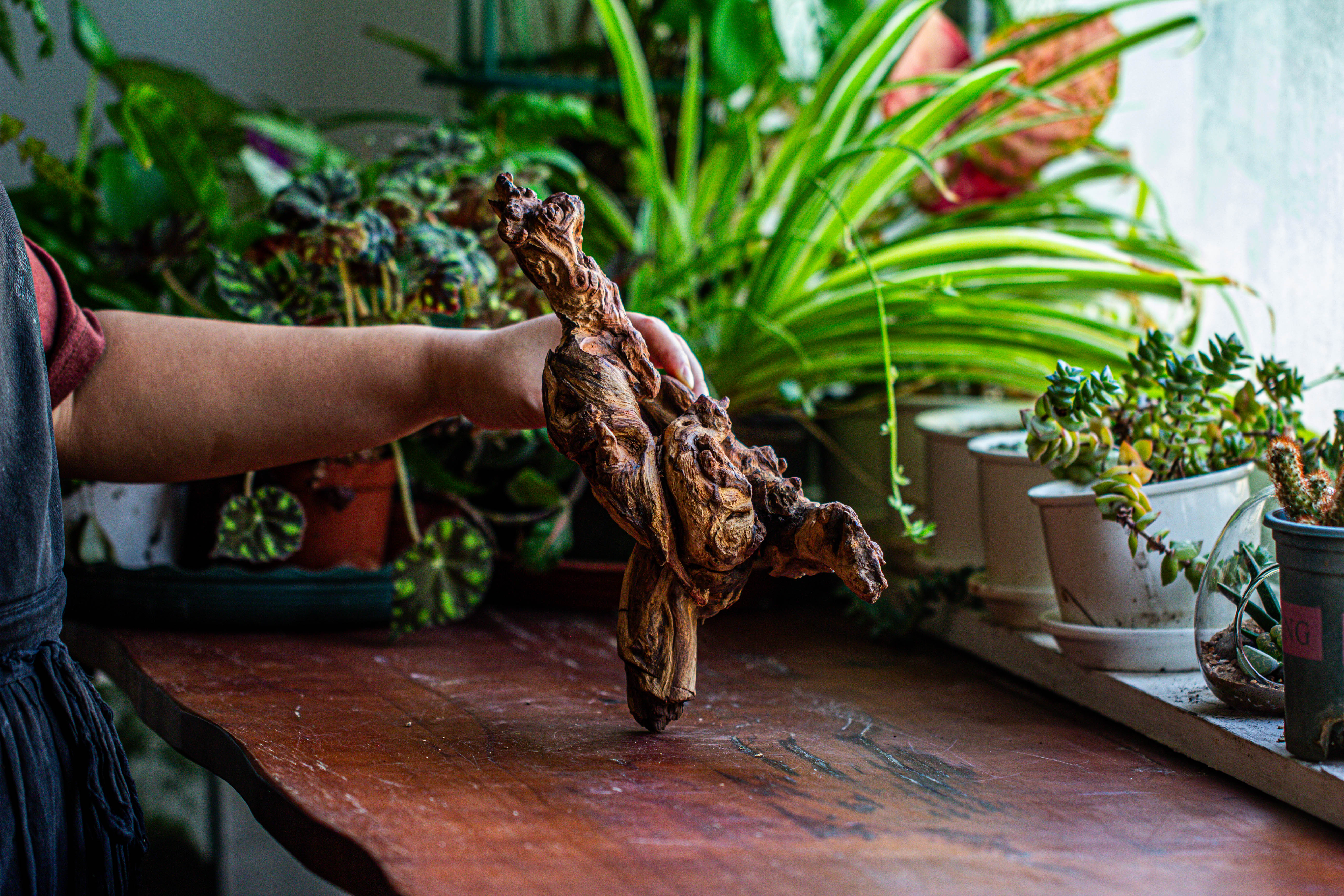 Natural driftwood for moss terrarium, miniature, micro landscape, unique  12-12, suitable for both live and preserved moss - NCYPgarden