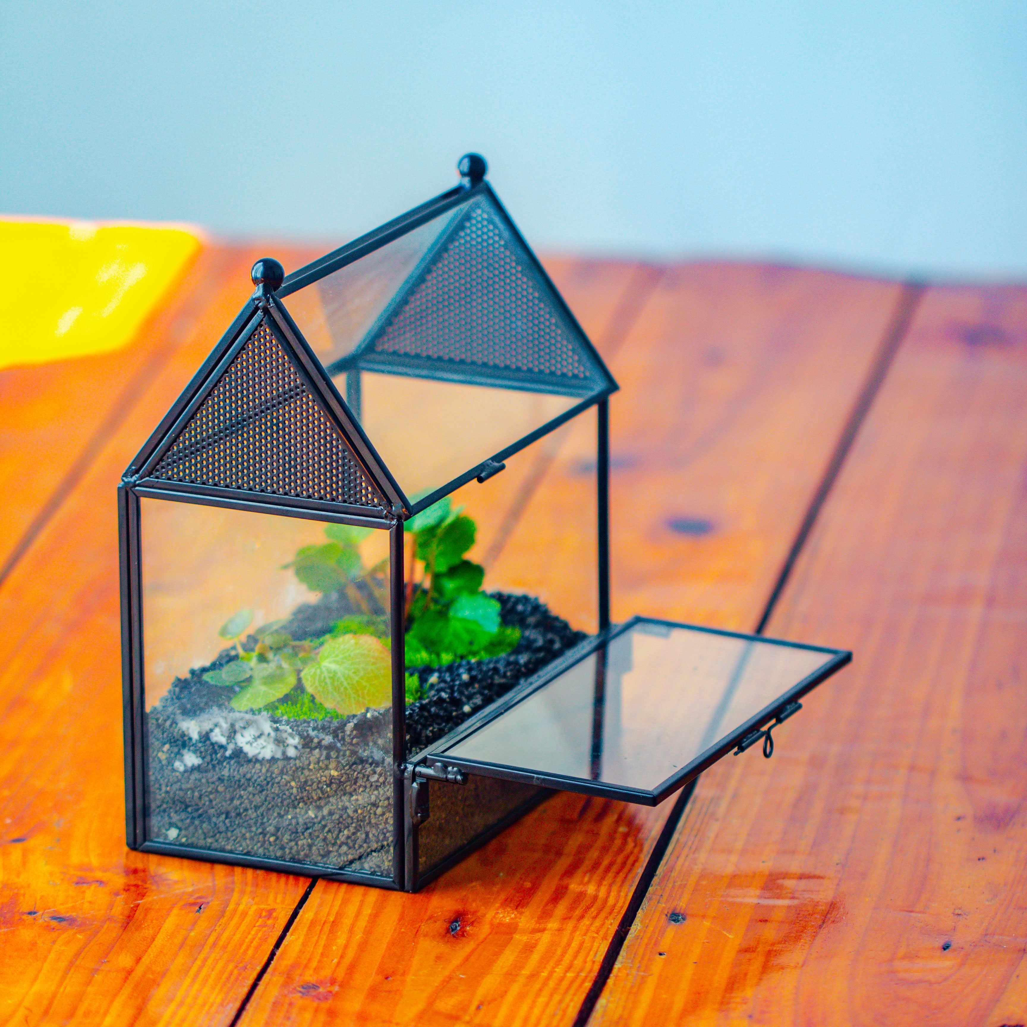Simplified Mini House Shape Glass Geometric Terrarium for Jumping spider