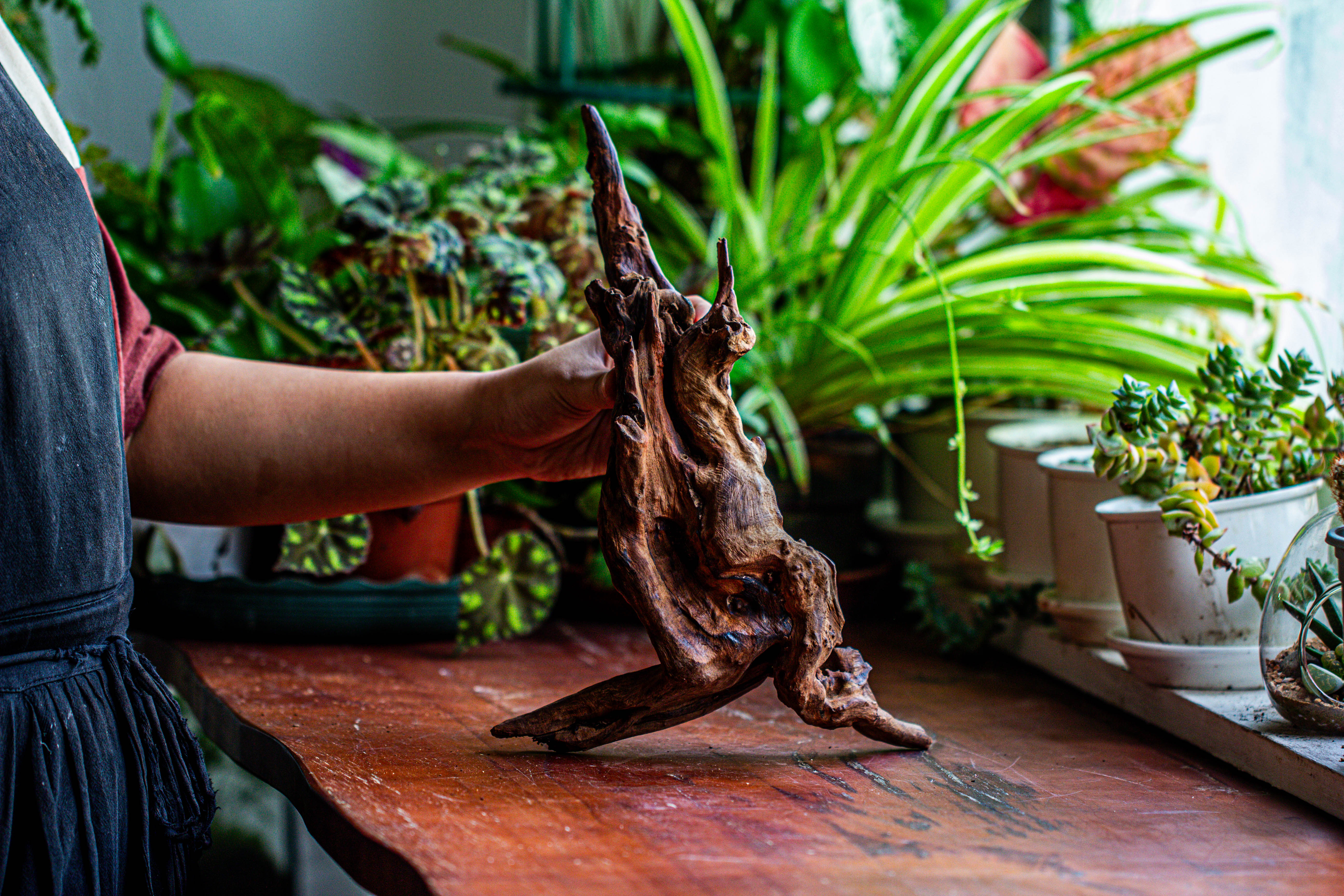 Natural driftwood for moss terrarium, miniature, micro landscape, unique  12-27, suitable for both live and preserved moss - NCYPgarden