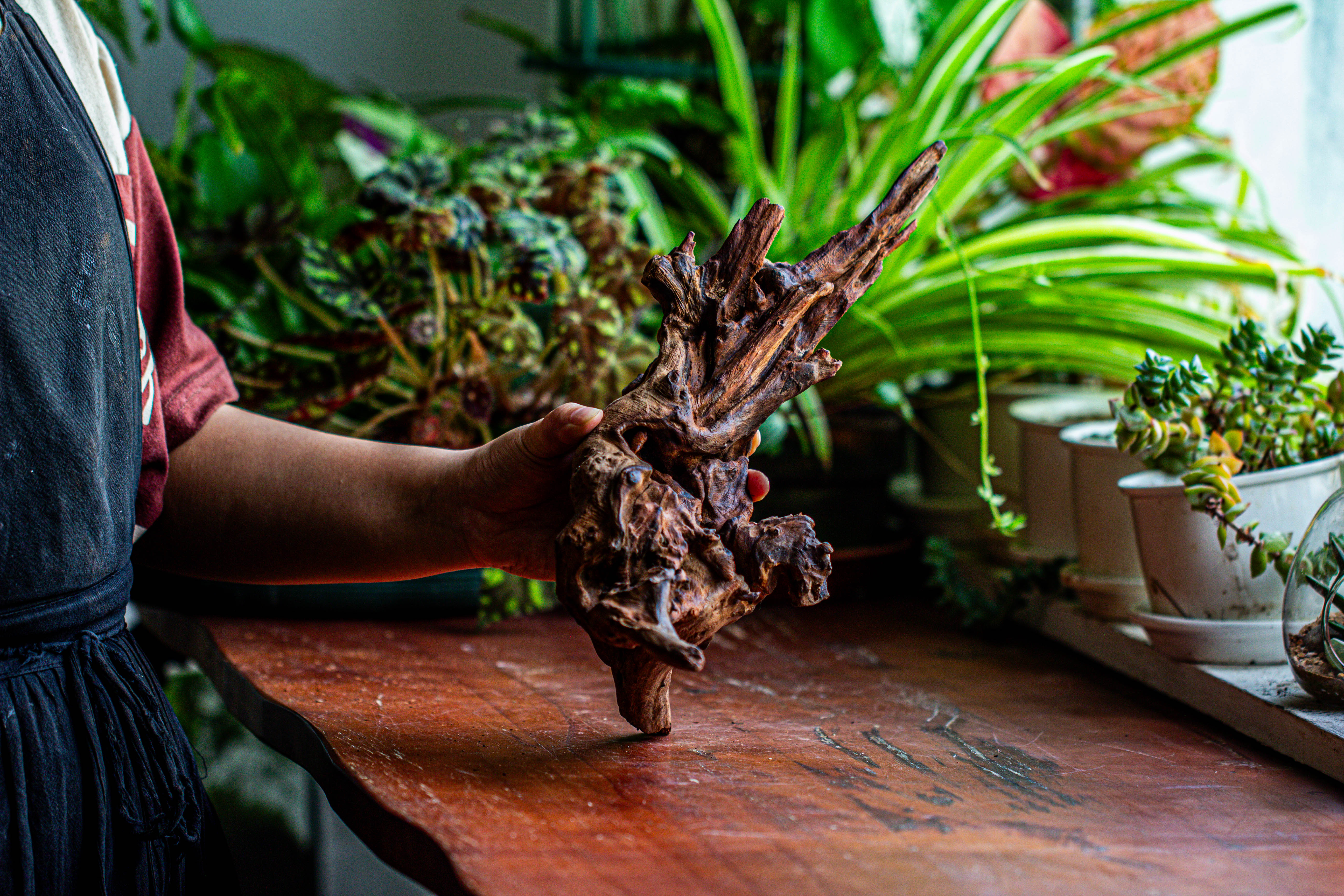 Natural driftwood for moss terrarium, miniature, micro landscape, unique  12-27, suitable for both live and preserved moss - NCYPgarden