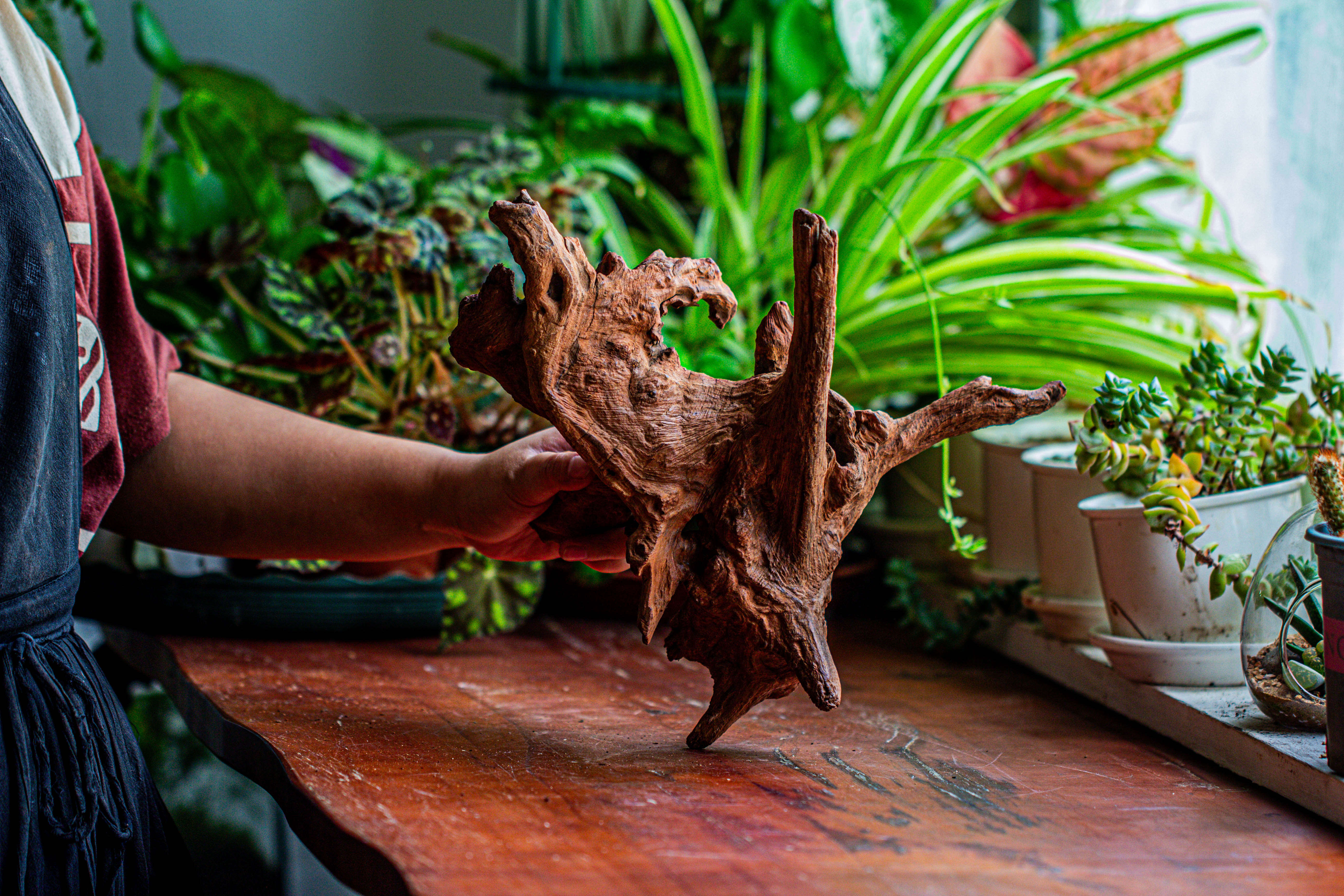 Natural driftwood for moss terrarium, miniature, micro landscape, unique  12-21, suitable for both live and preserved moss - NCYPgarden