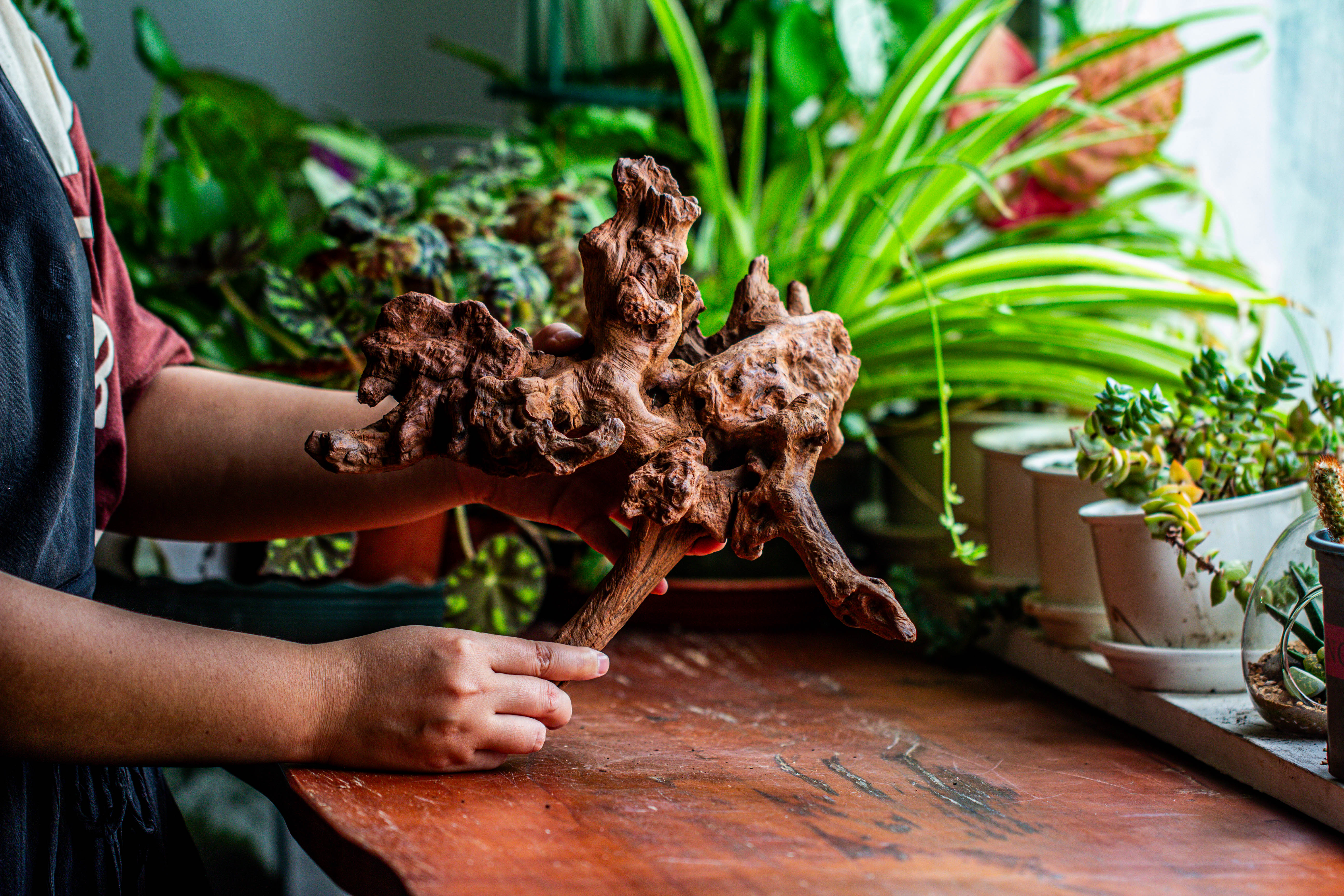 Natural driftwood for moss terrarium, miniature, micro landscape, unique  12-21, suitable for both live and preserved moss - NCYPgarden