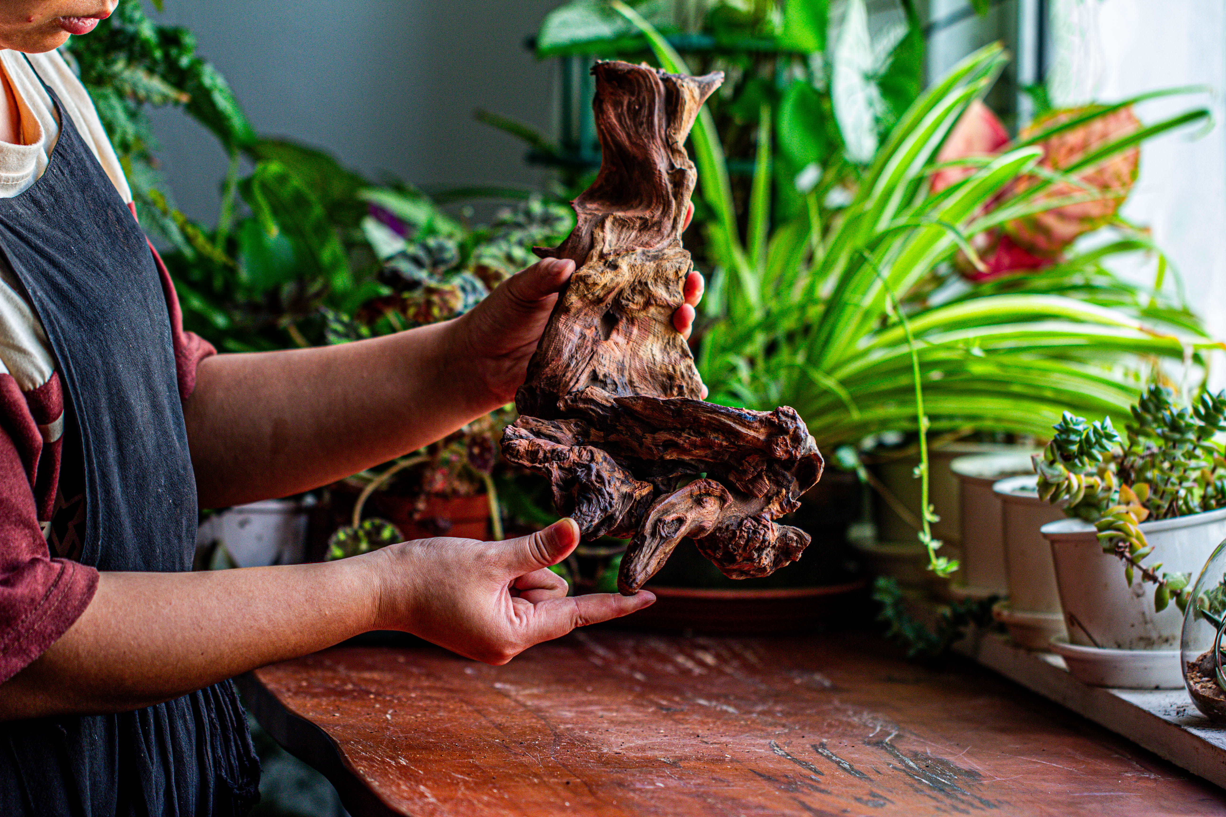 Natural driftwood for moss terrarium, miniature, micro landscape, unique  12-9, suitable for both live and preserved moss - NCYPgarden