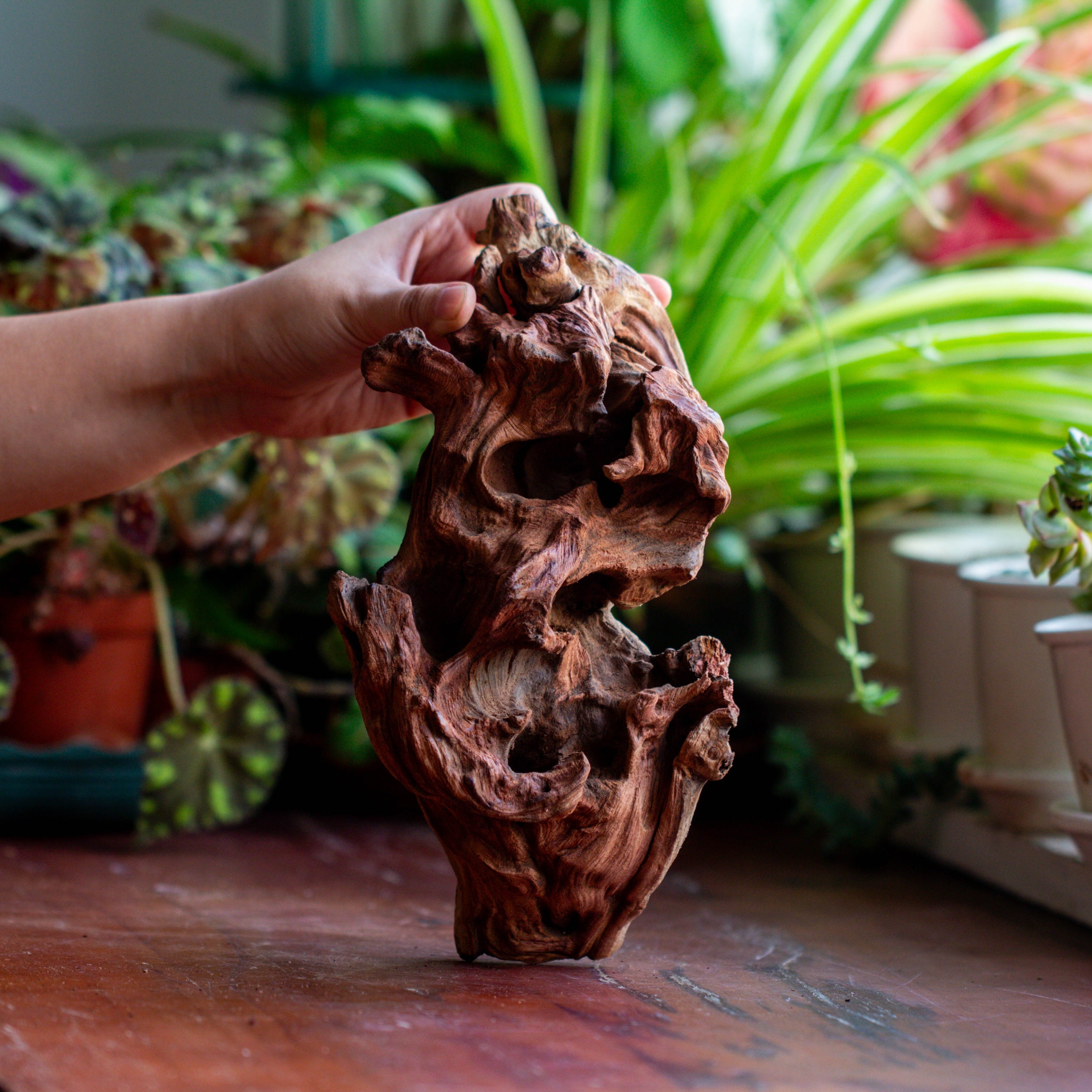 Natural driftwood for moss terrarium, miniature, micro landscape, unique  12-69, suitable for both live and preserved moss - NCYPgarden