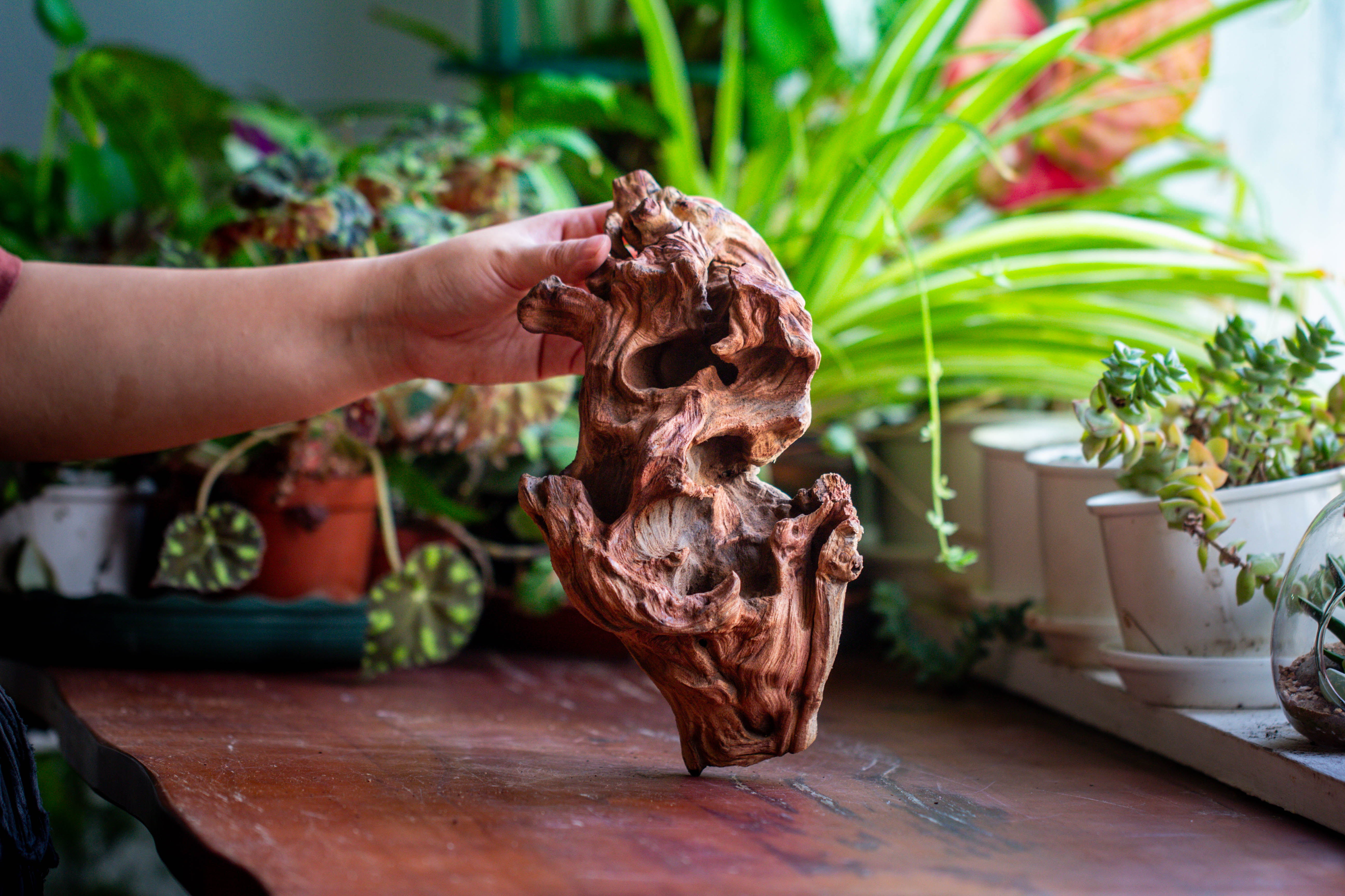 Natural driftwood for moss terrarium, miniature, micro landscape, unique  12-69, suitable for both live and preserved moss - NCYPgarden