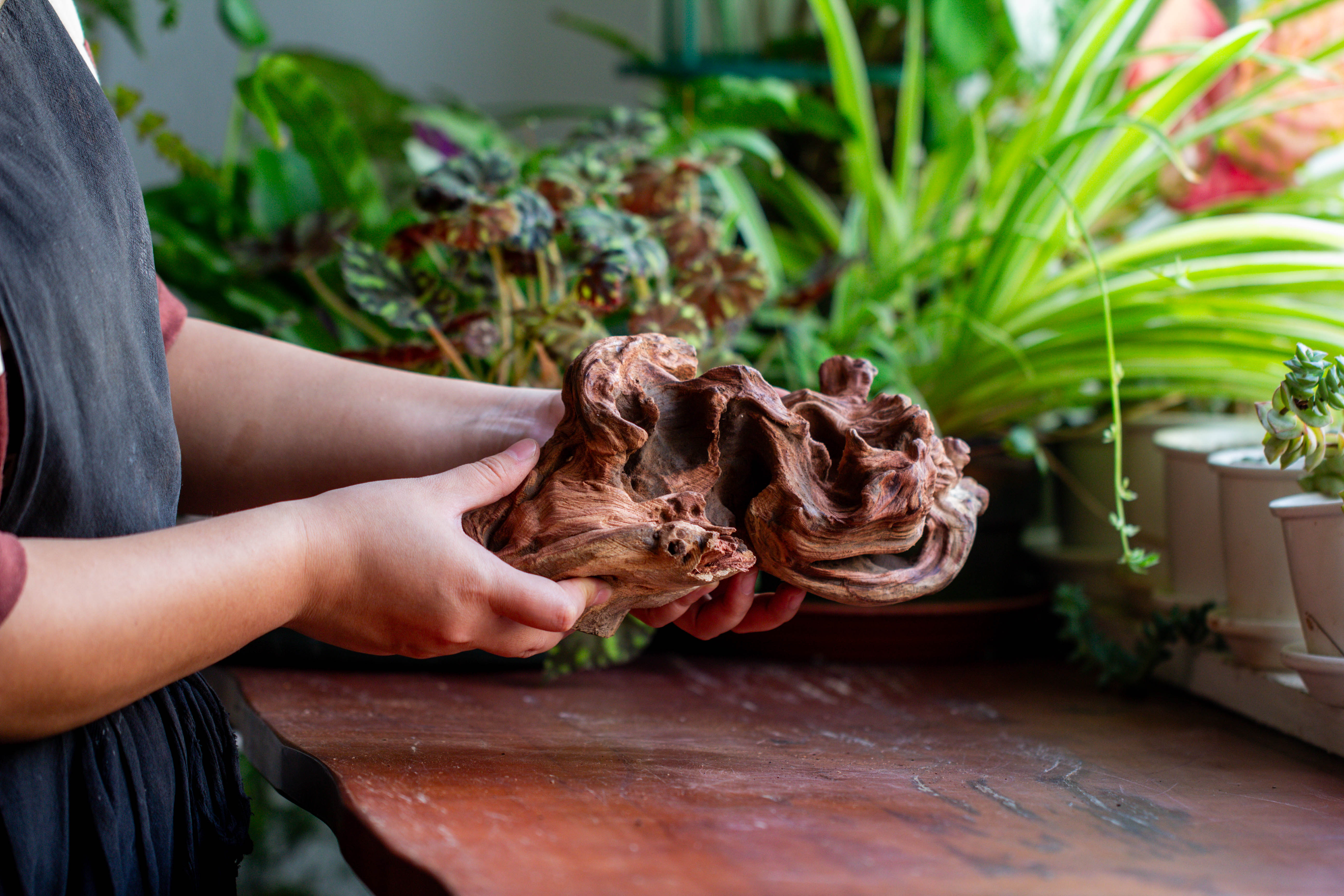 Natural driftwood for moss terrarium, miniature, micro landscape, unique  12-69, suitable for both live and preserved moss - NCYPgarden
