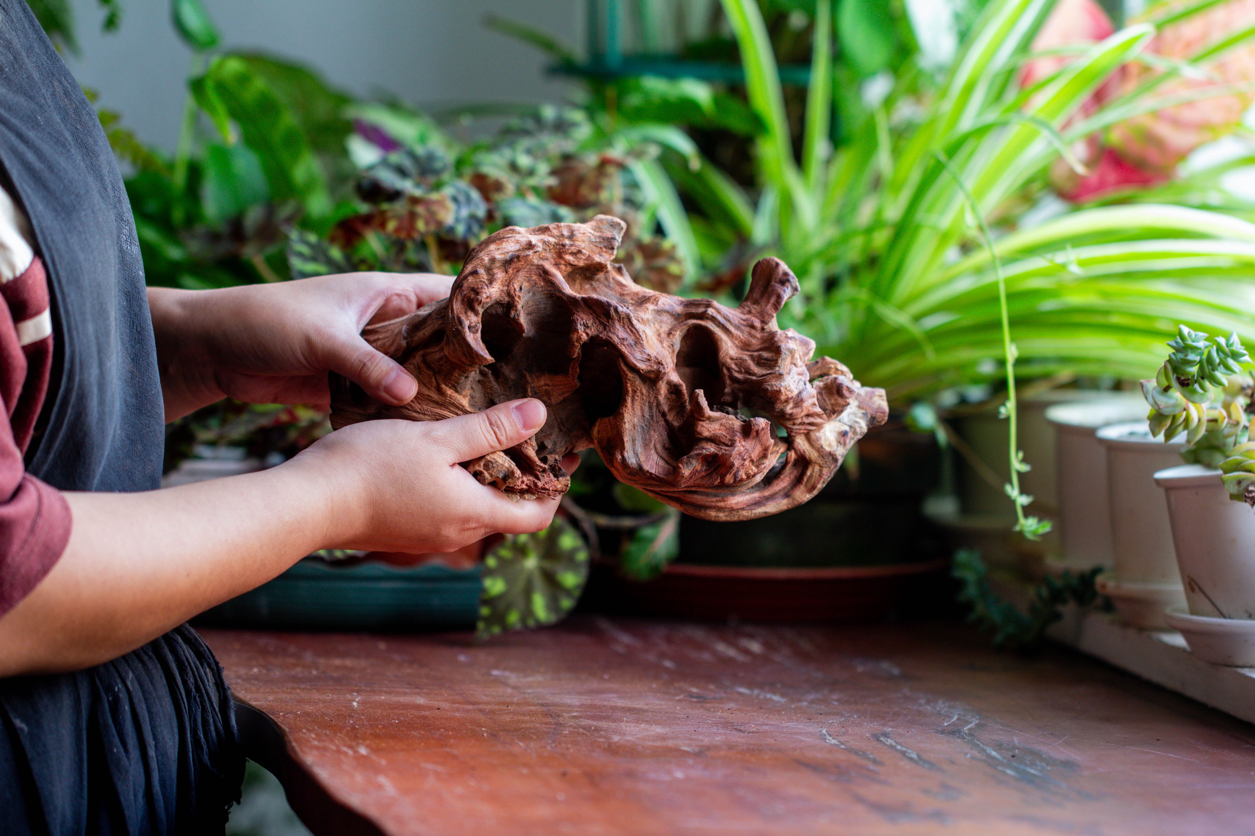 Natural driftwood for moss terrarium, miniature, micro landscape, unique  12-69, suitable for both live and preserved moss - NCYPgarden