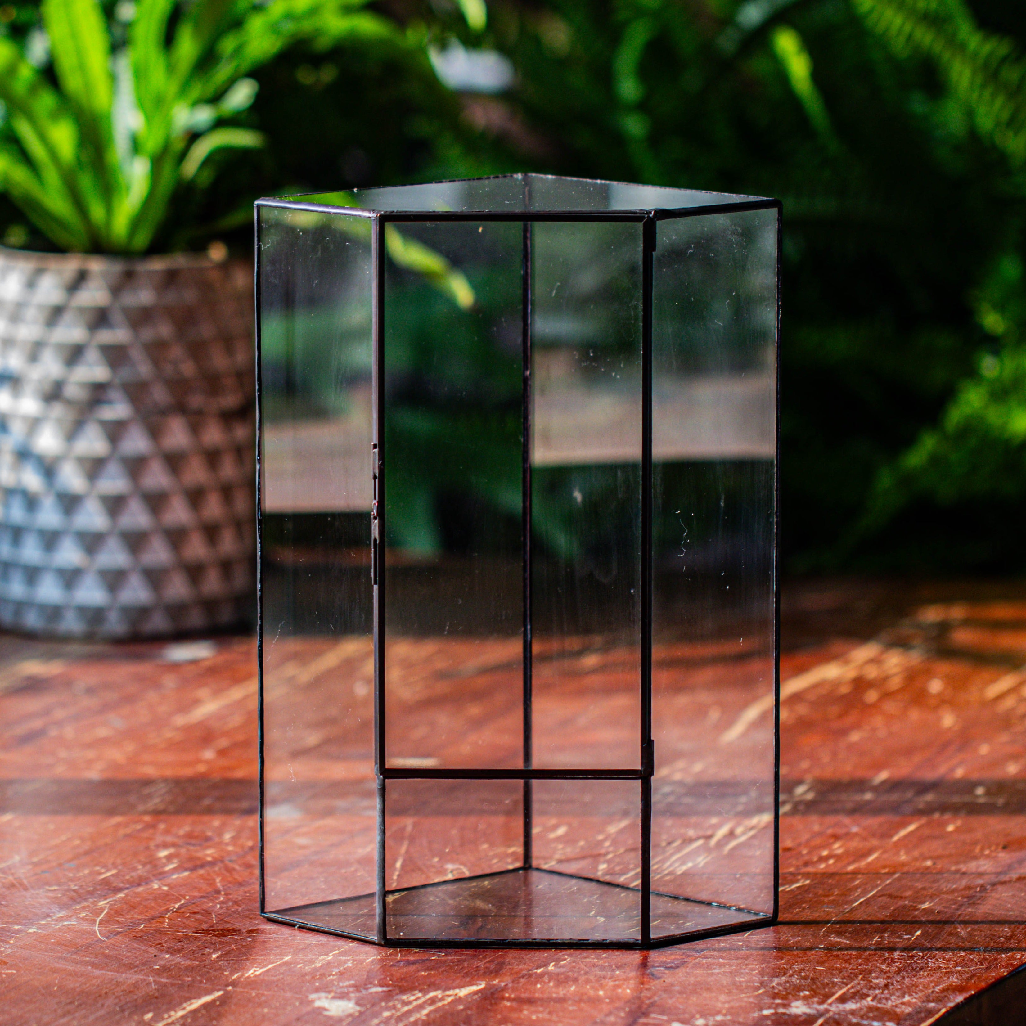 Handmade Close Geometric Tin Glass Corner Terrarium with Door, for Corner, Shelf - NCYPgarden