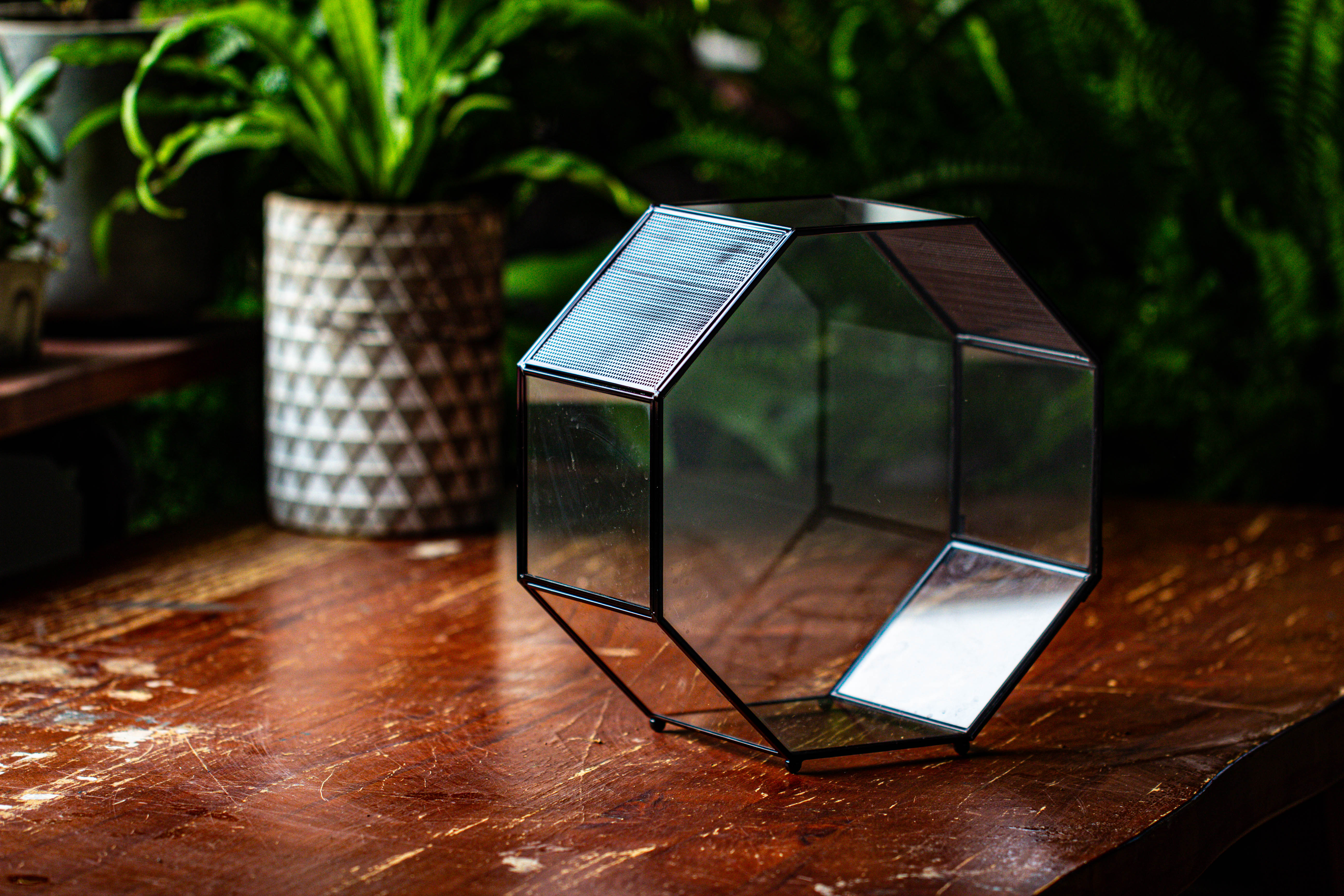 Handmade Octagon Glass Geometric Terrarium with Side Vent, Spider Terrarium, Jumping Spider/Snail Terrarium, Jumping Spider Enclosure - NCYPgarden