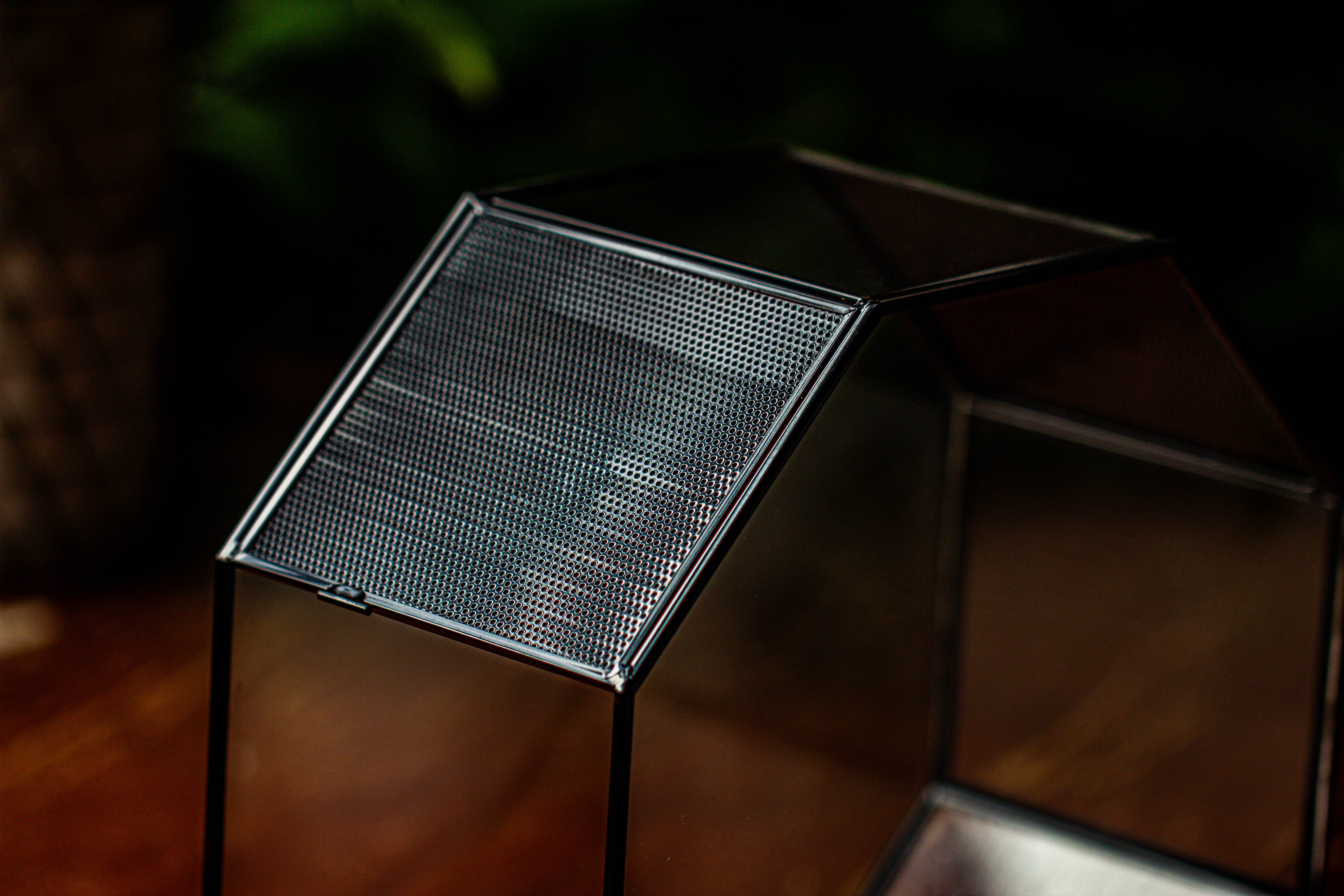 Handmade Octagon Glass Geometric Terrarium with Side Vent, Spider Terrarium, Jumping Spider/Snail Terrarium, Jumping Spider Enclosure - NCYPgarden