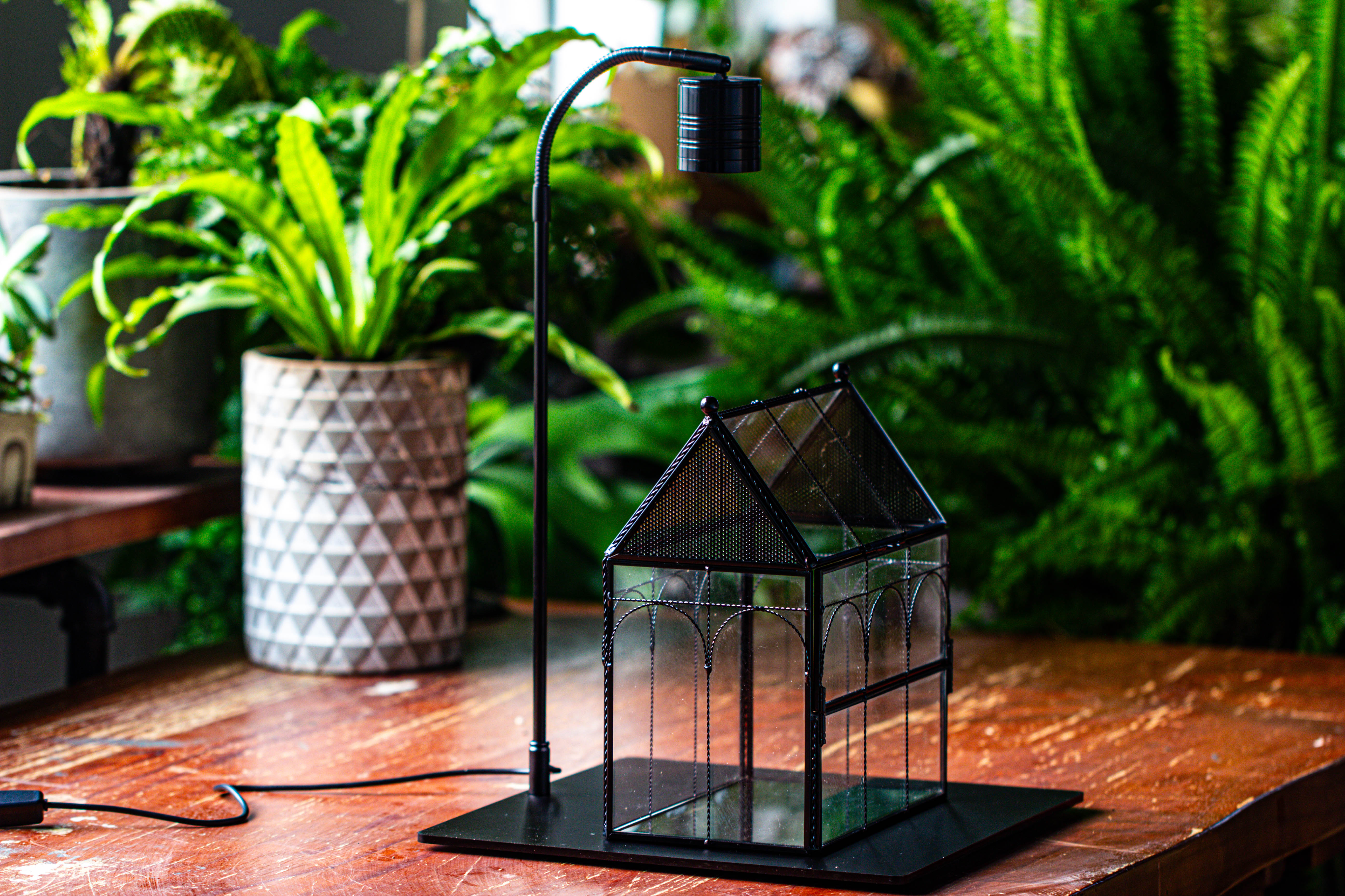 Handmade Twisted Wire House Shape Glass Geometric Terrarium with LED Light Set, Snail Jumping Spider Enclosure, Insect Container Set - NCYPgarden