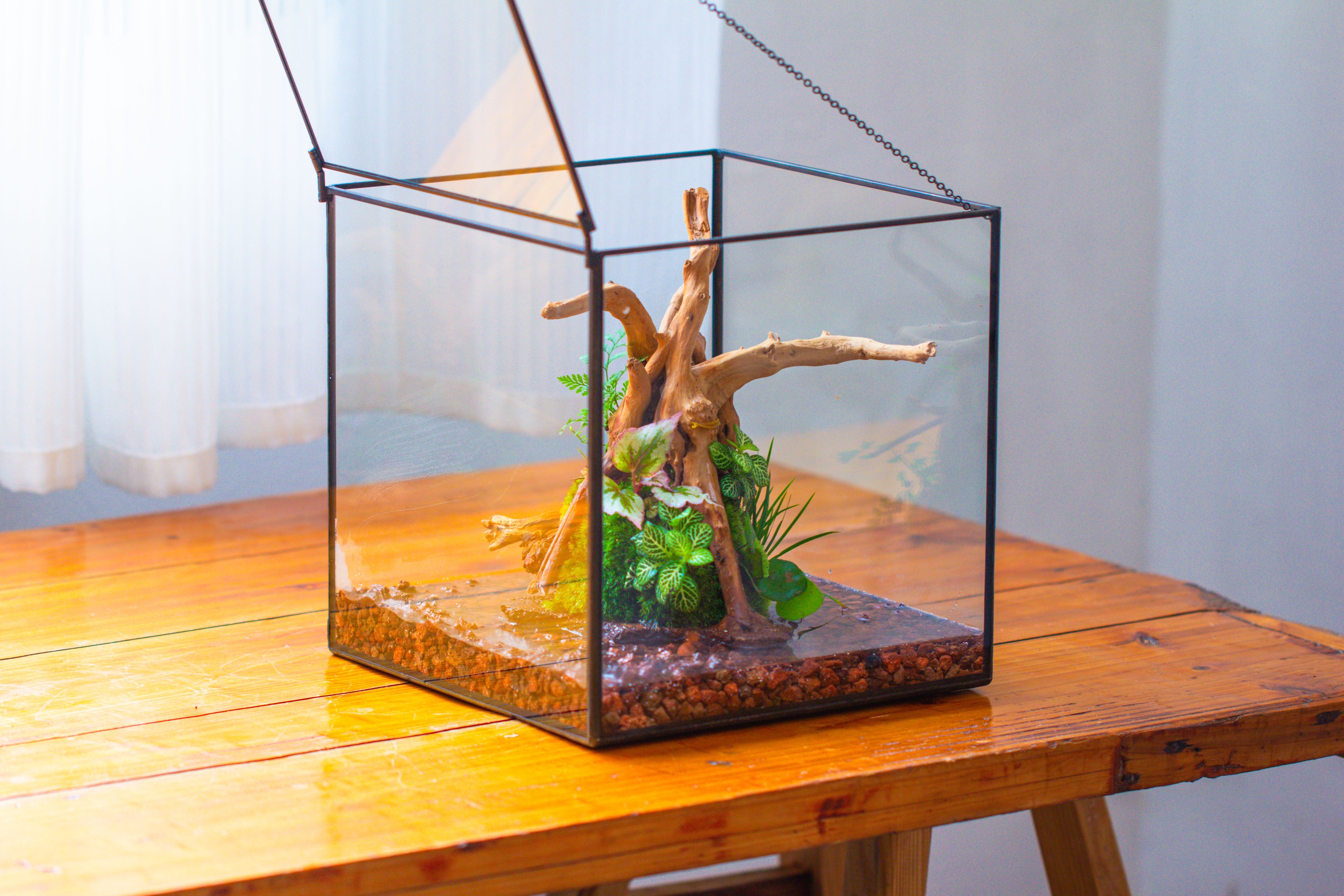 10x10x10 in Handmade Watertight Glass Terrarium with Lid - NCYPgarden
