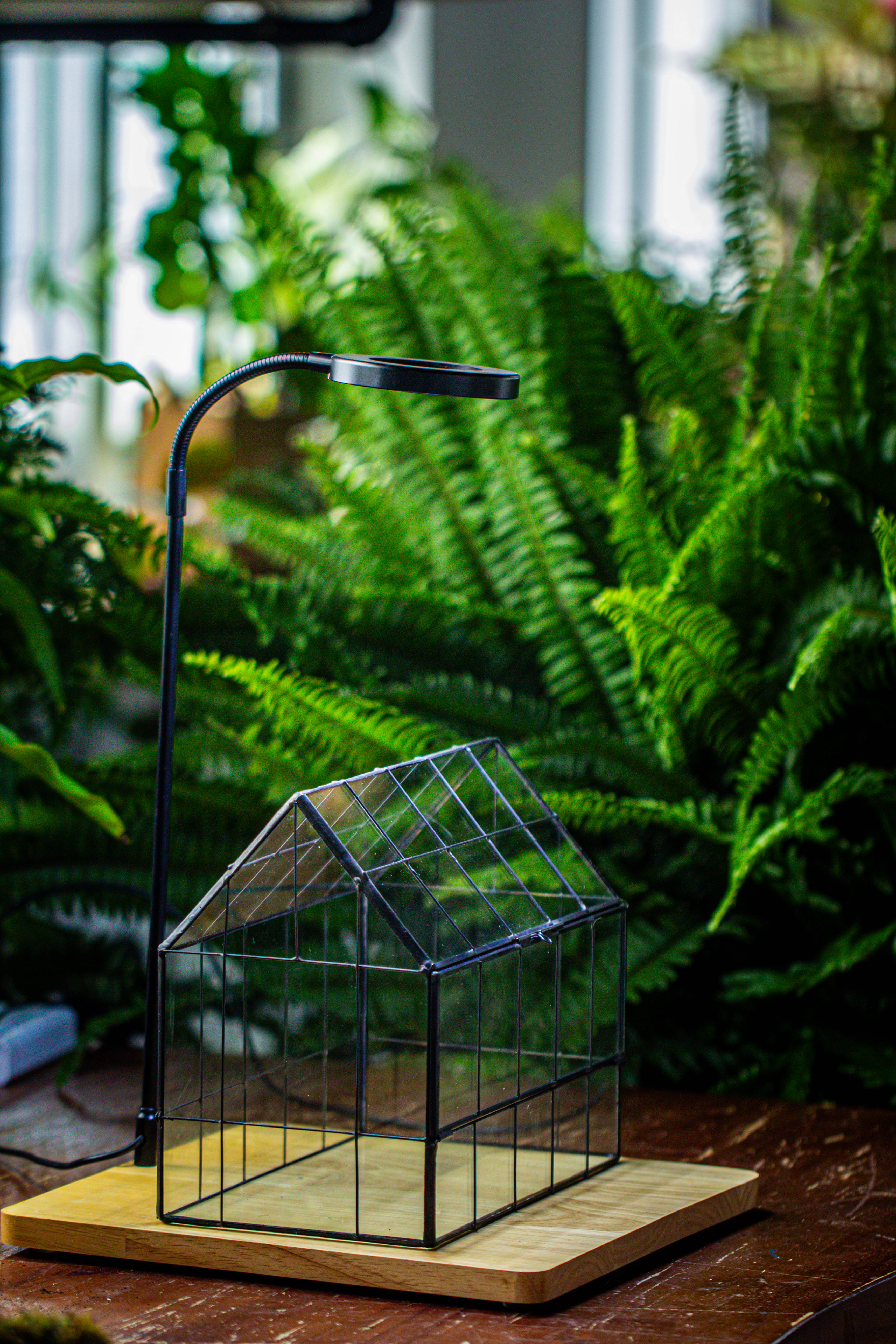 Handmade Glass Terrarium with LED Grow Light Set, Side Door Closed Geometric GreenHouse with Base and Light Set - NCYPgarden