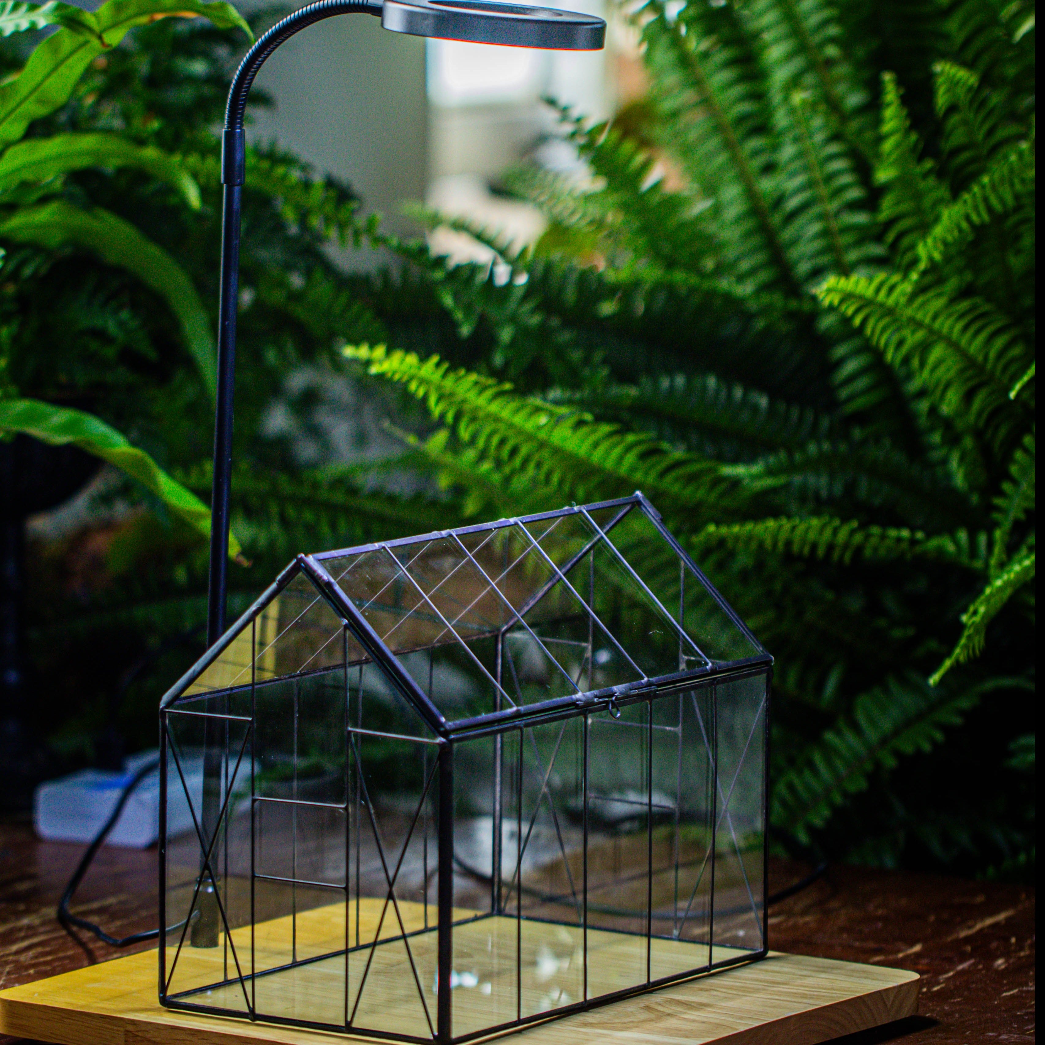 Handmade Vintage Greenhouse Inspired Tin Terrarium with LED Grow Light Set, Closed Glass Planter Set - NCYPgarden