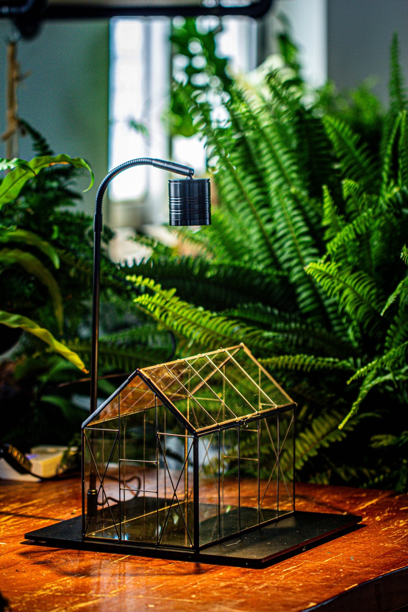 Handmade Vintage Greenhouse Inspired Tin Terrarium with LED Grow Light Set, Closed Glass Planter Set - NCYPgarden