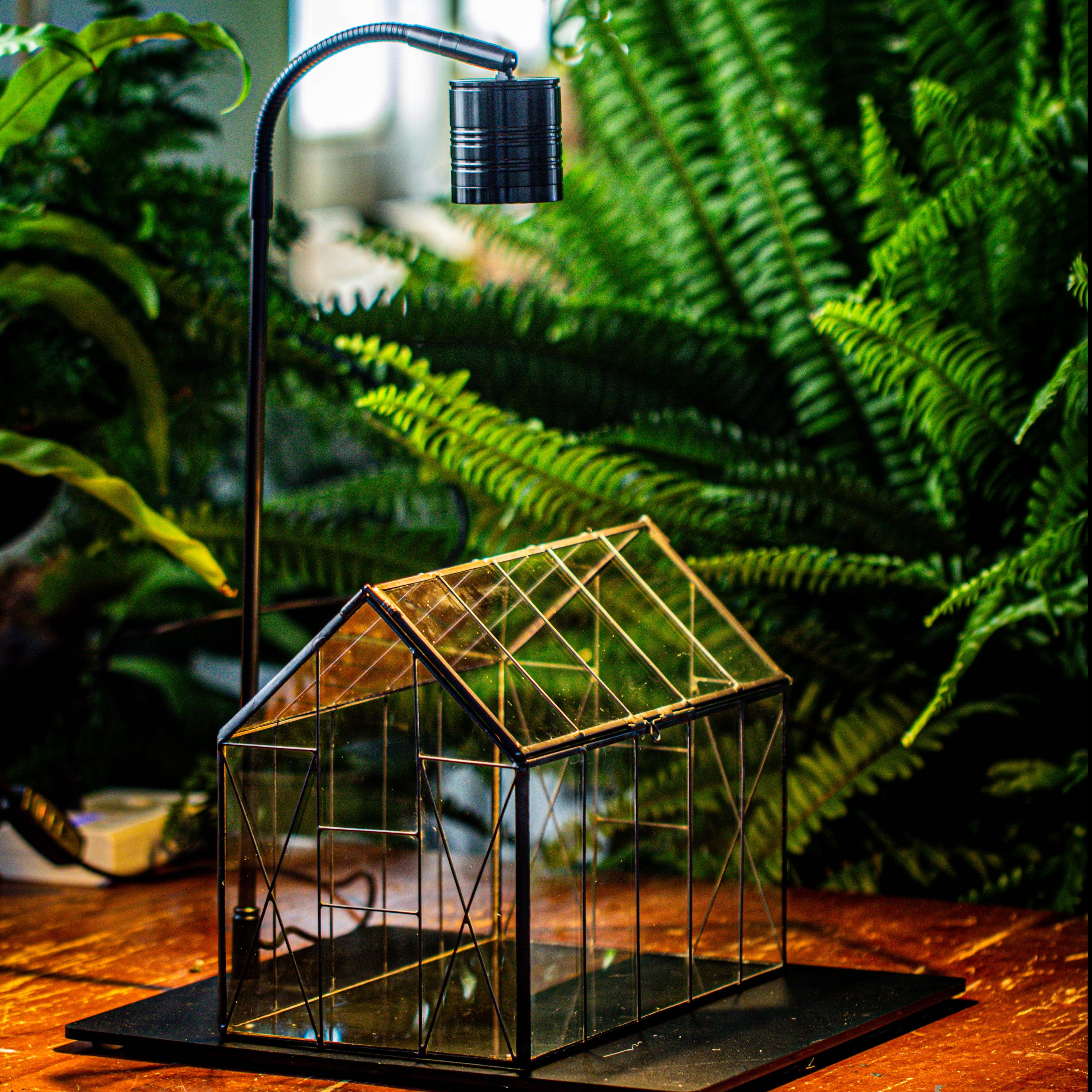 Handmade Vintage Greenhouse Inspired Tin Terrarium with LED Grow Light Set, Closed Glass Planter Set - NCYPgarden