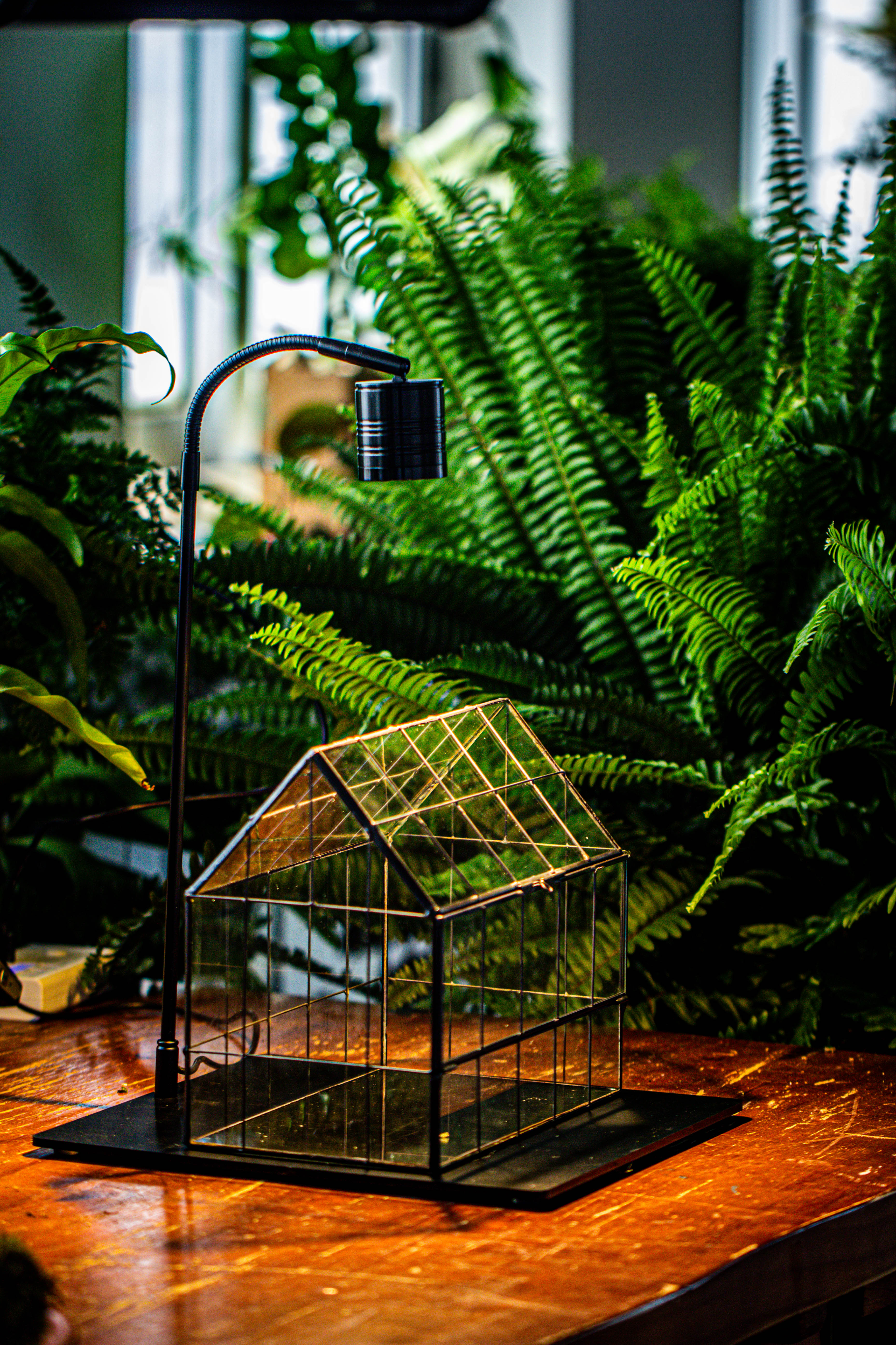 Handmade Glass Terrarium with LED Grow Light Set, Side Door Closed Geometric GreenHouse with Base and Light Set - NCYPgarden