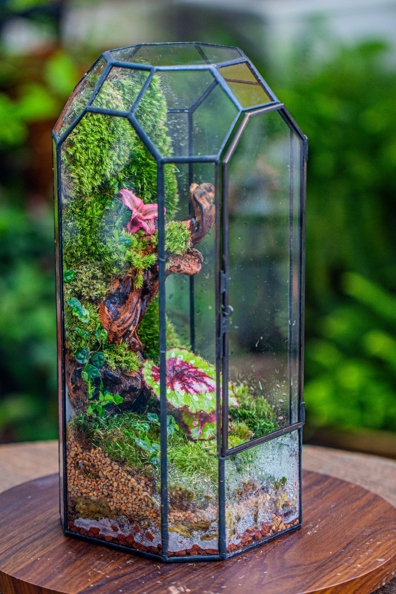 Vintage Tall Octagon Geometric Tin Glass Terrarium , 12.6" , close, suitable for tall plants, orchid, small begonia Pitcher, Micro landscape PG05B2 - NCYPgarden
