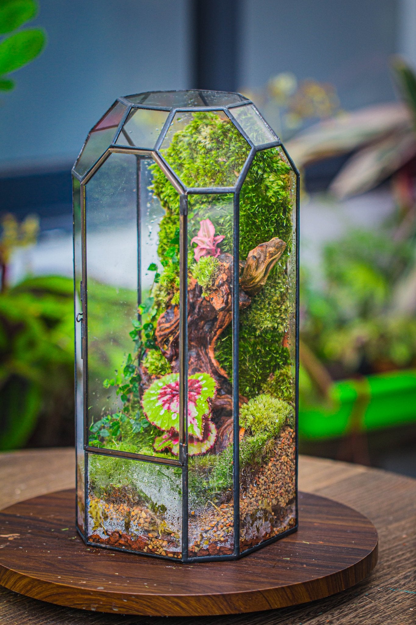 Vintage Tall Octagon Geometric Tin Glass Terrarium , 12.6" , close, suitable for tall plants, orchid, small begonia Pitcher, Micro landscape PG05B2 - NCYPgarden