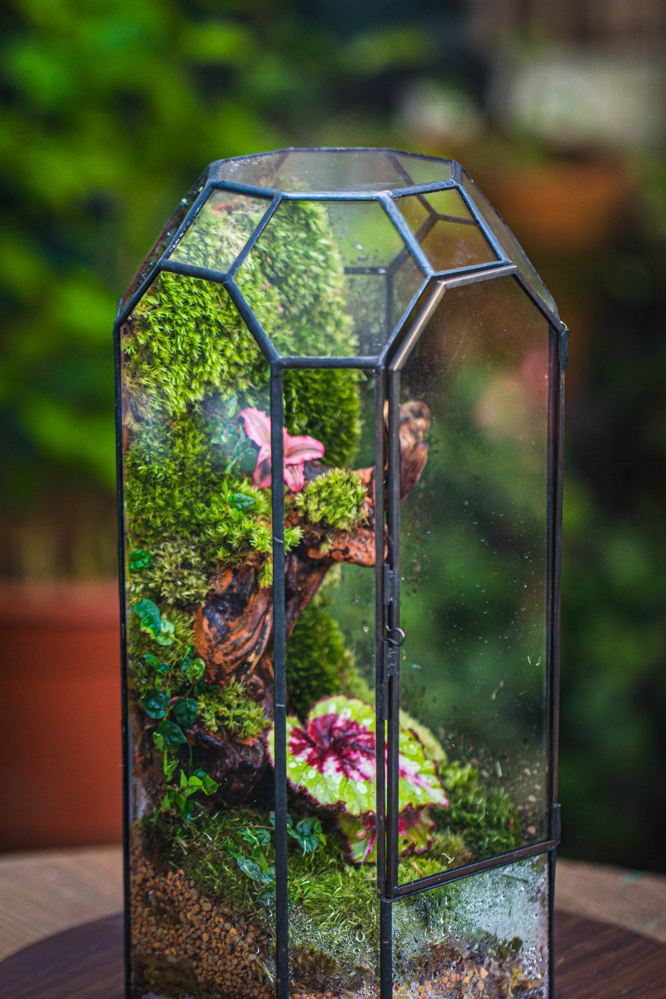 Vintage Tall Octagon Geometric Tin Glass Terrarium , 12.6" , close, suitable for tall plants, orchid, small begonia Pitcher, Micro landscape PG05B2 - NCYPgarden