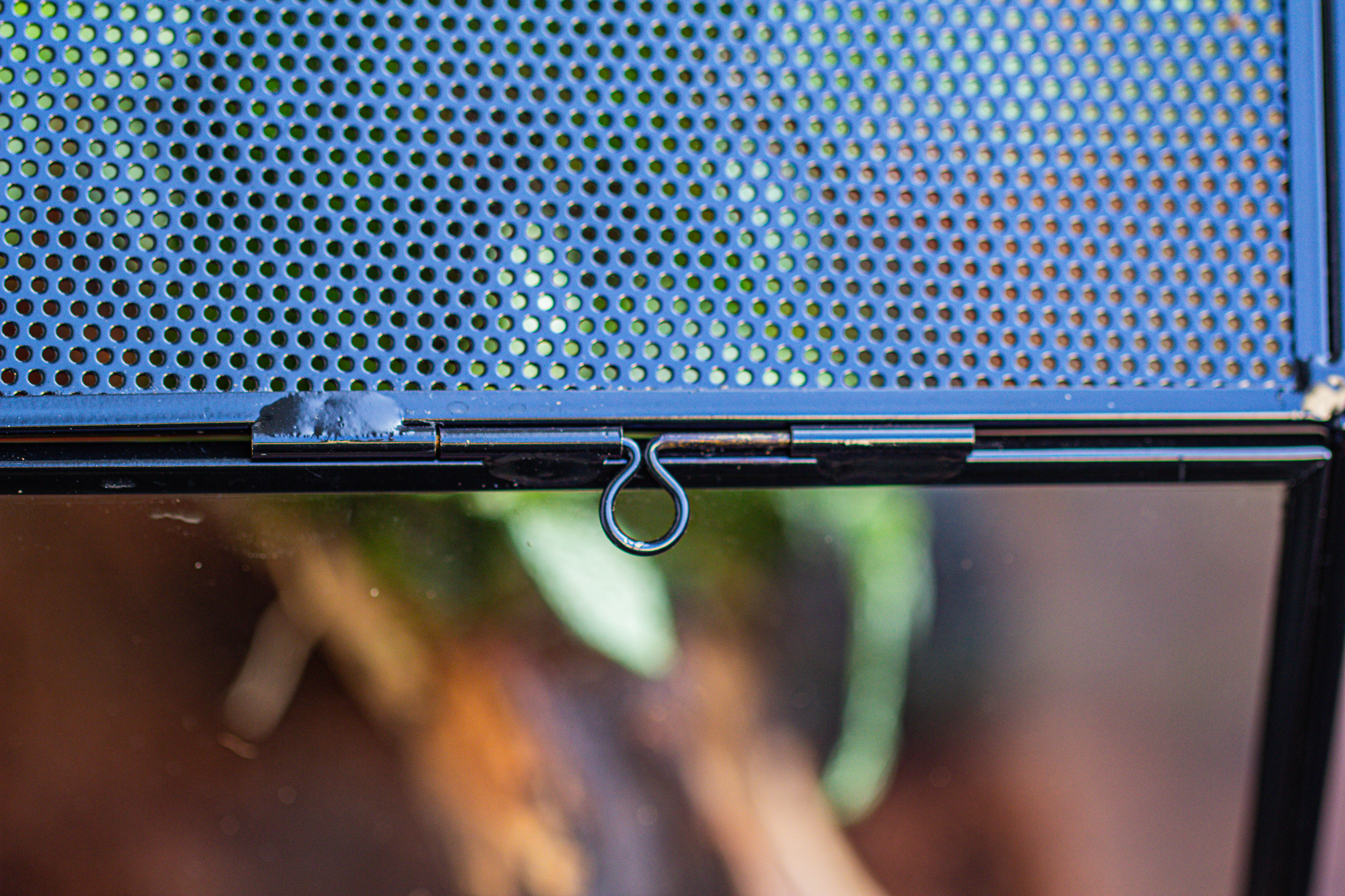 Handmade Octagon Glass Geometric Terrarium with Side Vent, Spider Terrarium, Jumping Spider/Snail Terrarium, Jumping Spider Enclosure - NCYPgarden