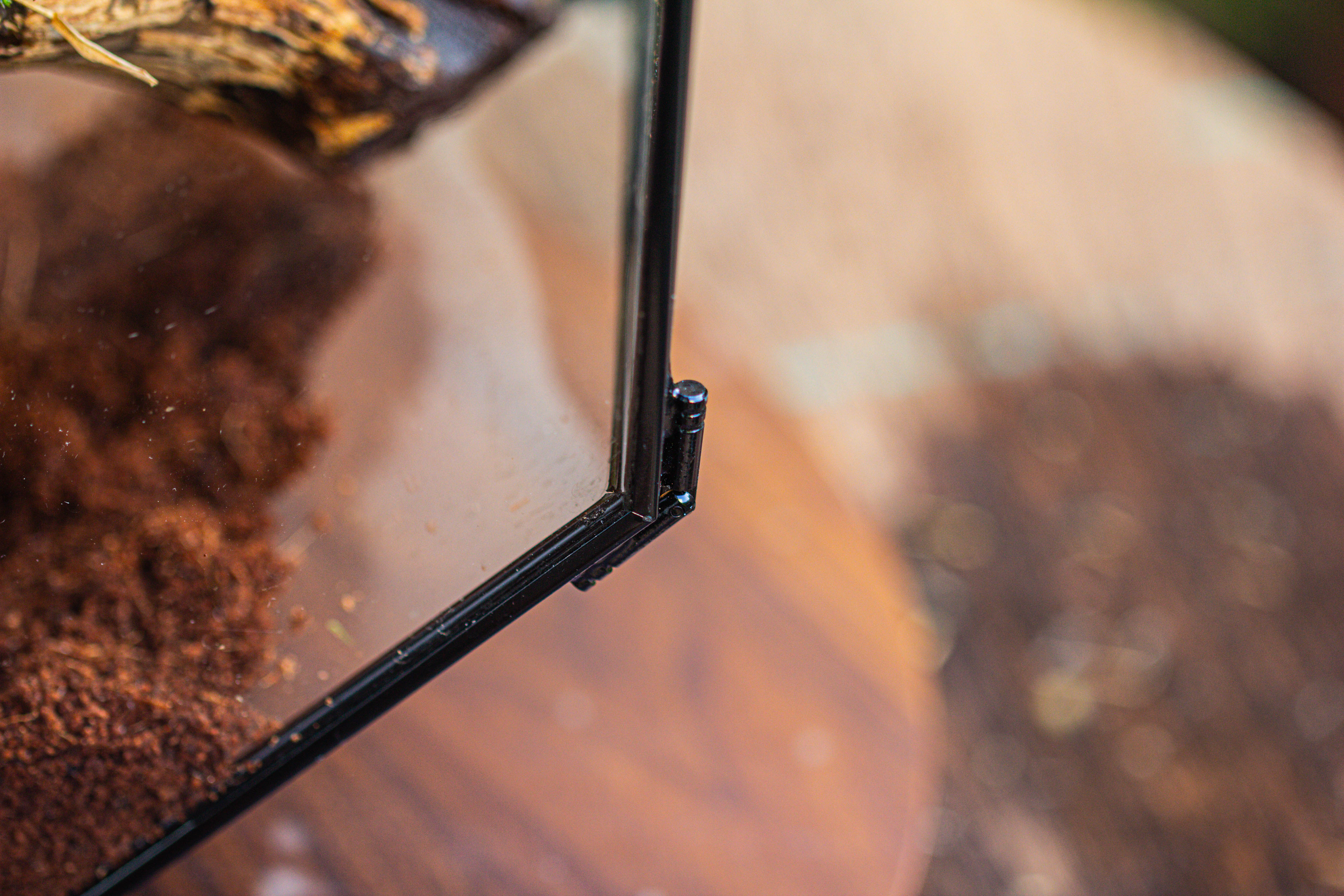 Handmade Octagon Glass Geometric Terrarium with Side Vent, Spider Terrarium, Jumping Spider/Snail Terrarium, Jumping Spider Enclosure - NCYPgarden