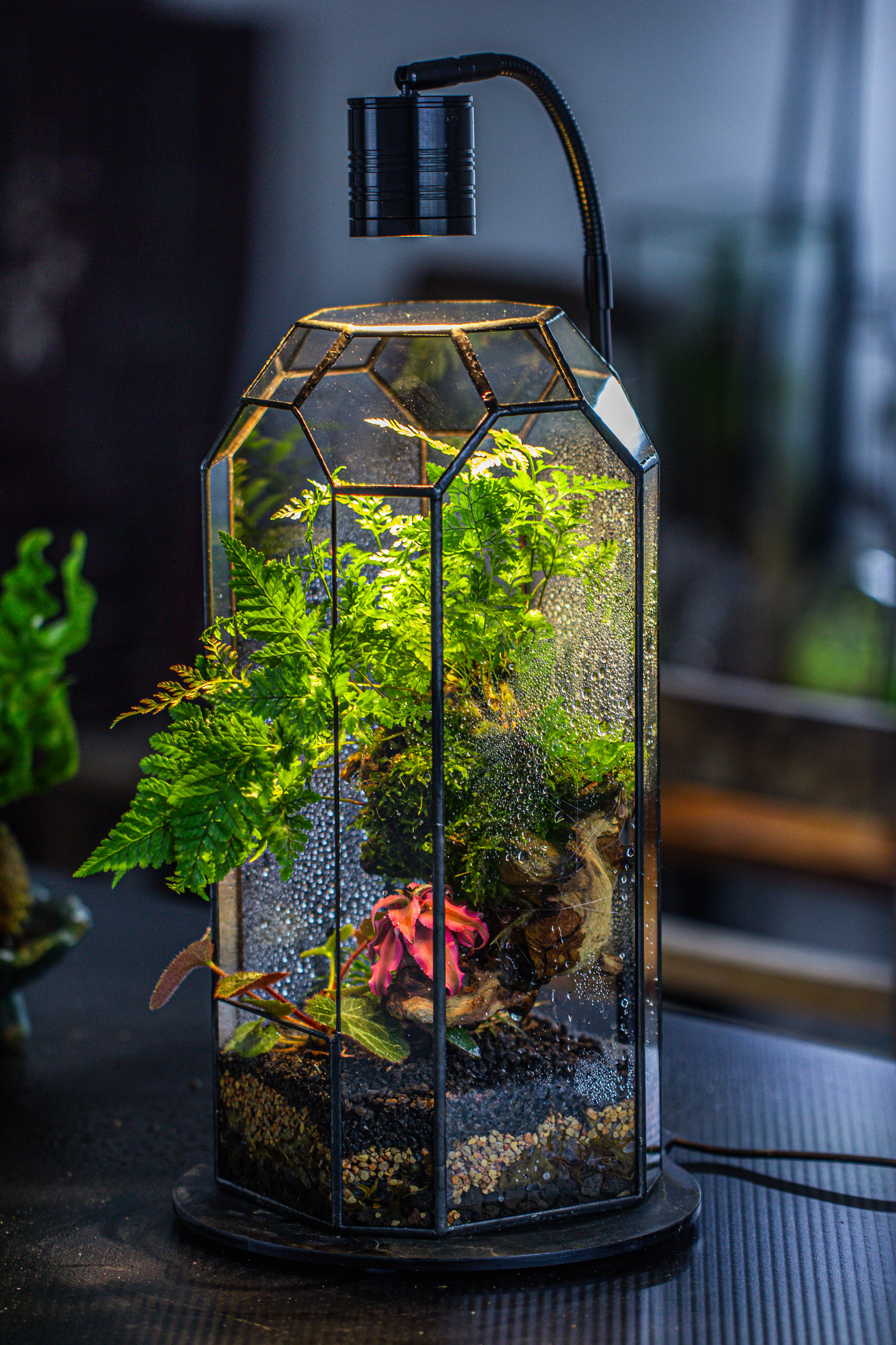 Vintage Tall Octagon Geometric Tin Glass Terrarium , 12.6" , open, suitable for tall plants, orchid, small begonia Pitcher, Micro landscape - NCYPgarden