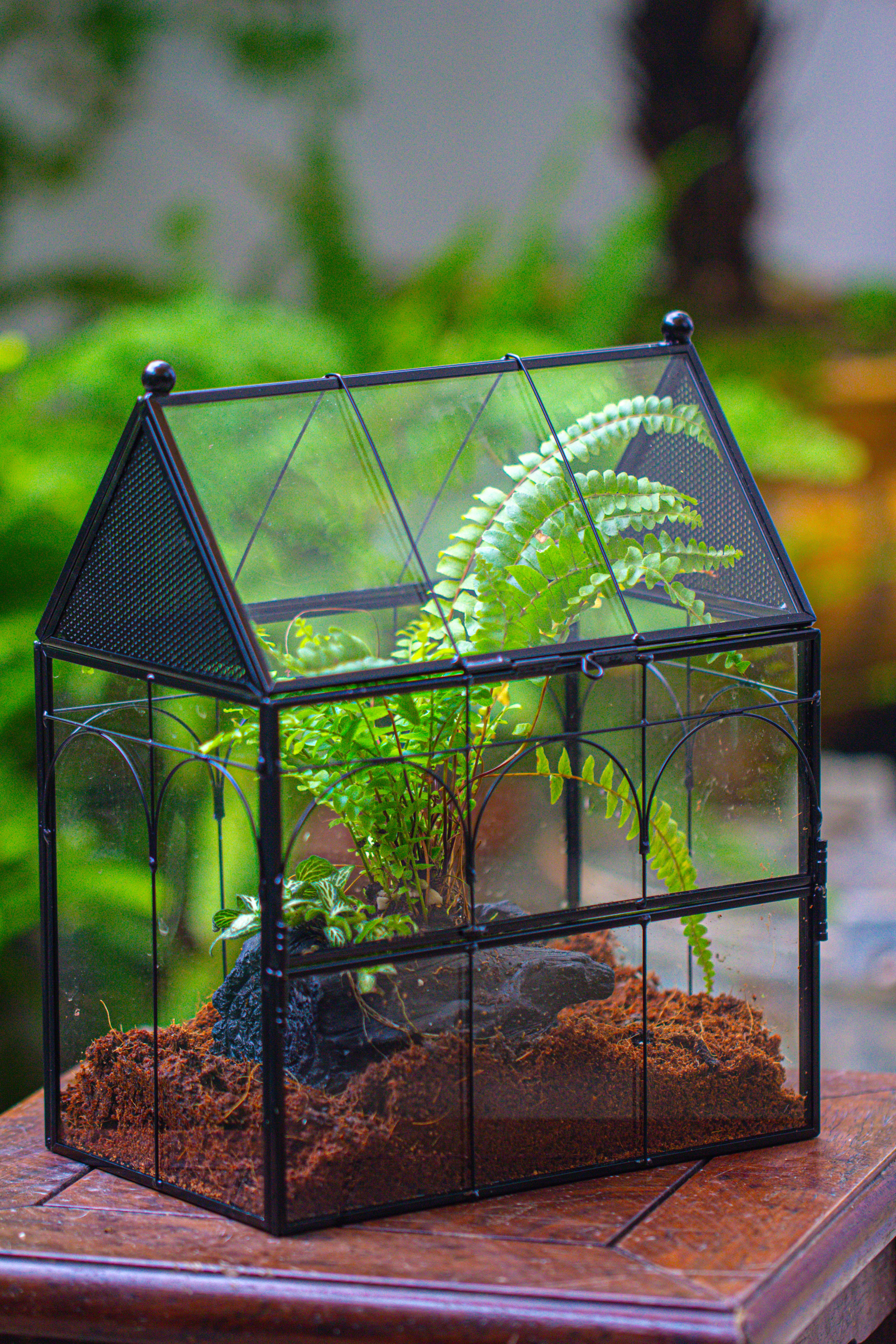 NCYP Vintage House Shape Glass Geometric Terrarium, with side door, with Mesh / vent holes for small Insects Pet - NCYPgarden