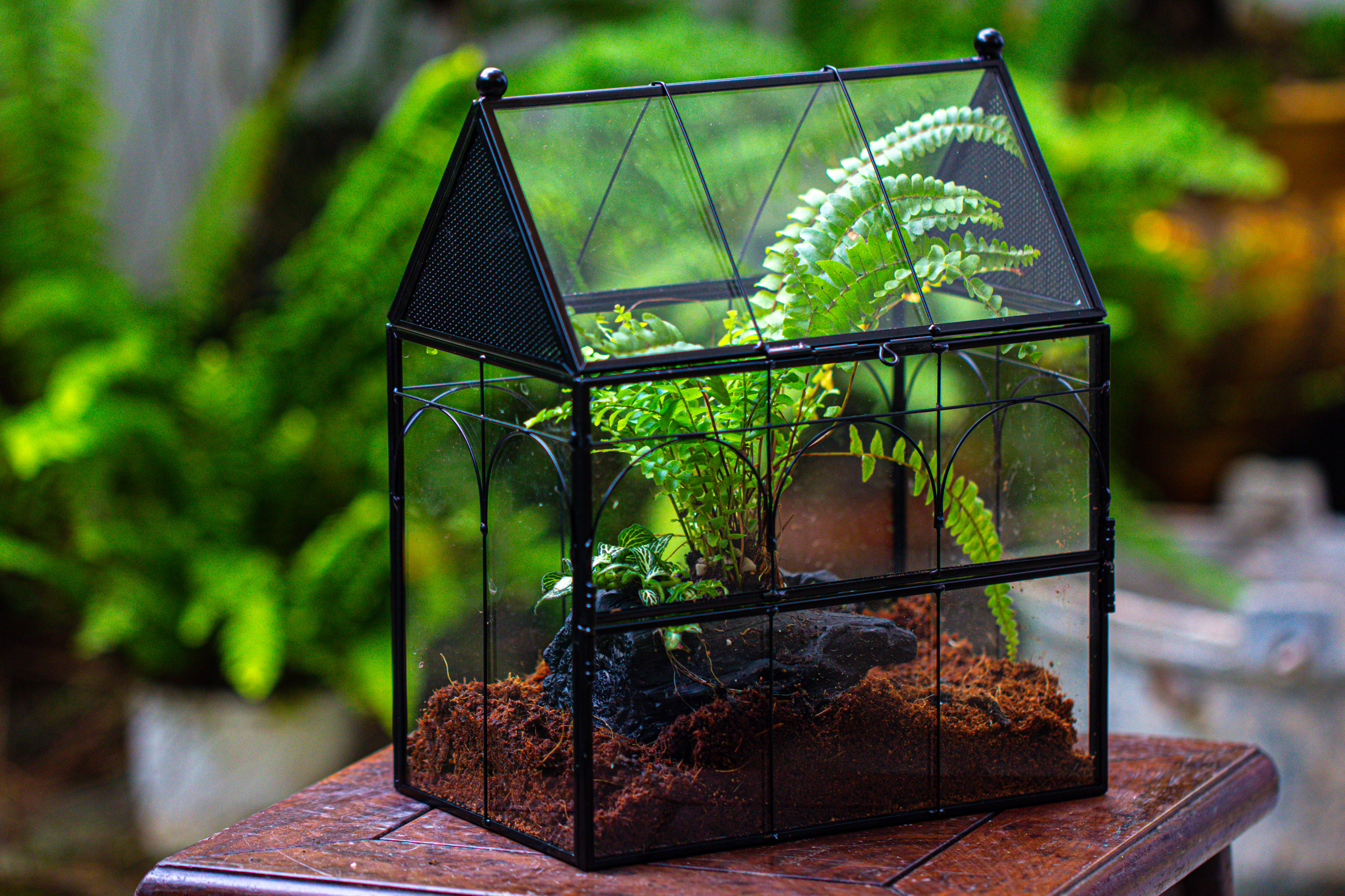 NCYP Vintage House Shape Glass Geometric Terrarium, with side door, with Mesh / vent holes for small Insects Pet - NCYPgarden