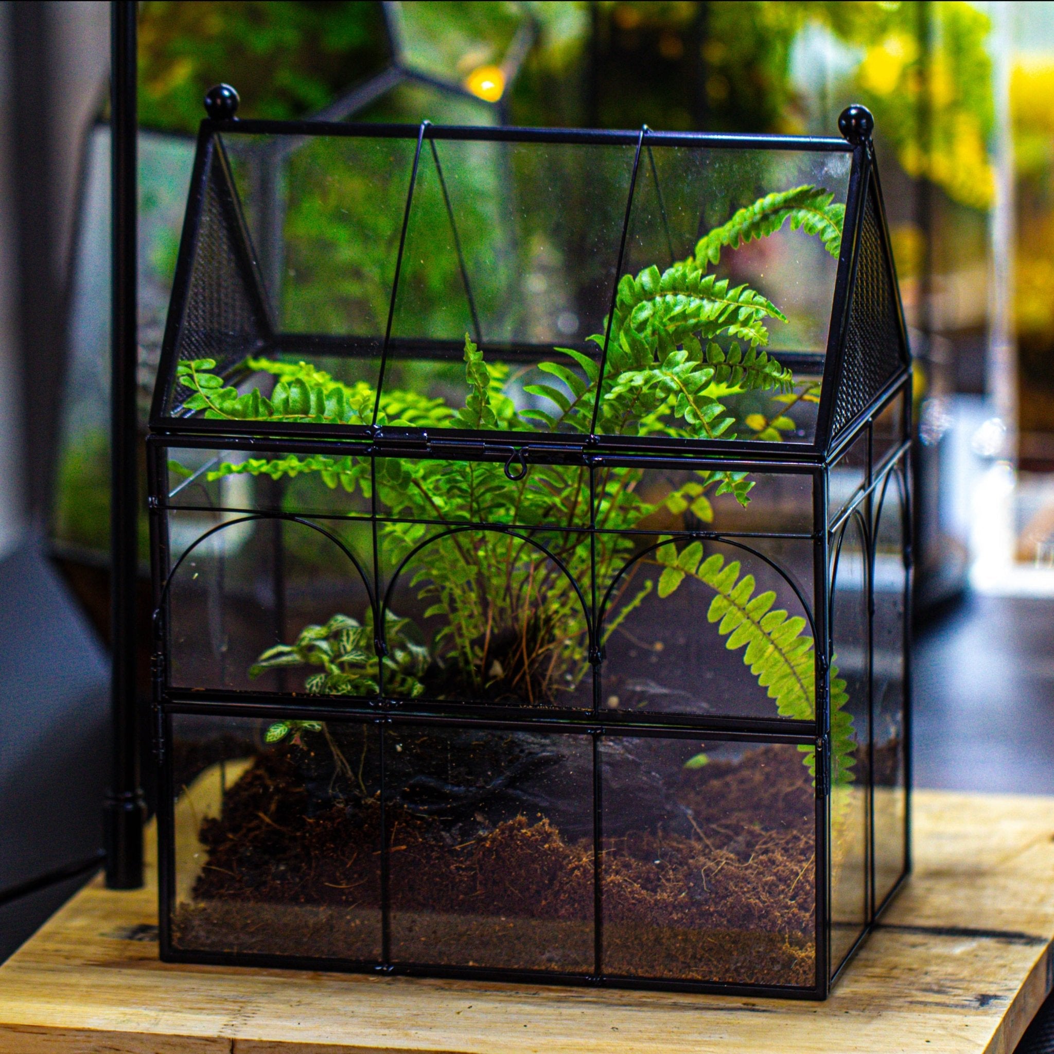 NCYP Vintage House Shape Glass Geometric Terrarium building set, with side door, with Mesh / vent holes for Insects Pet - NCYPgarden