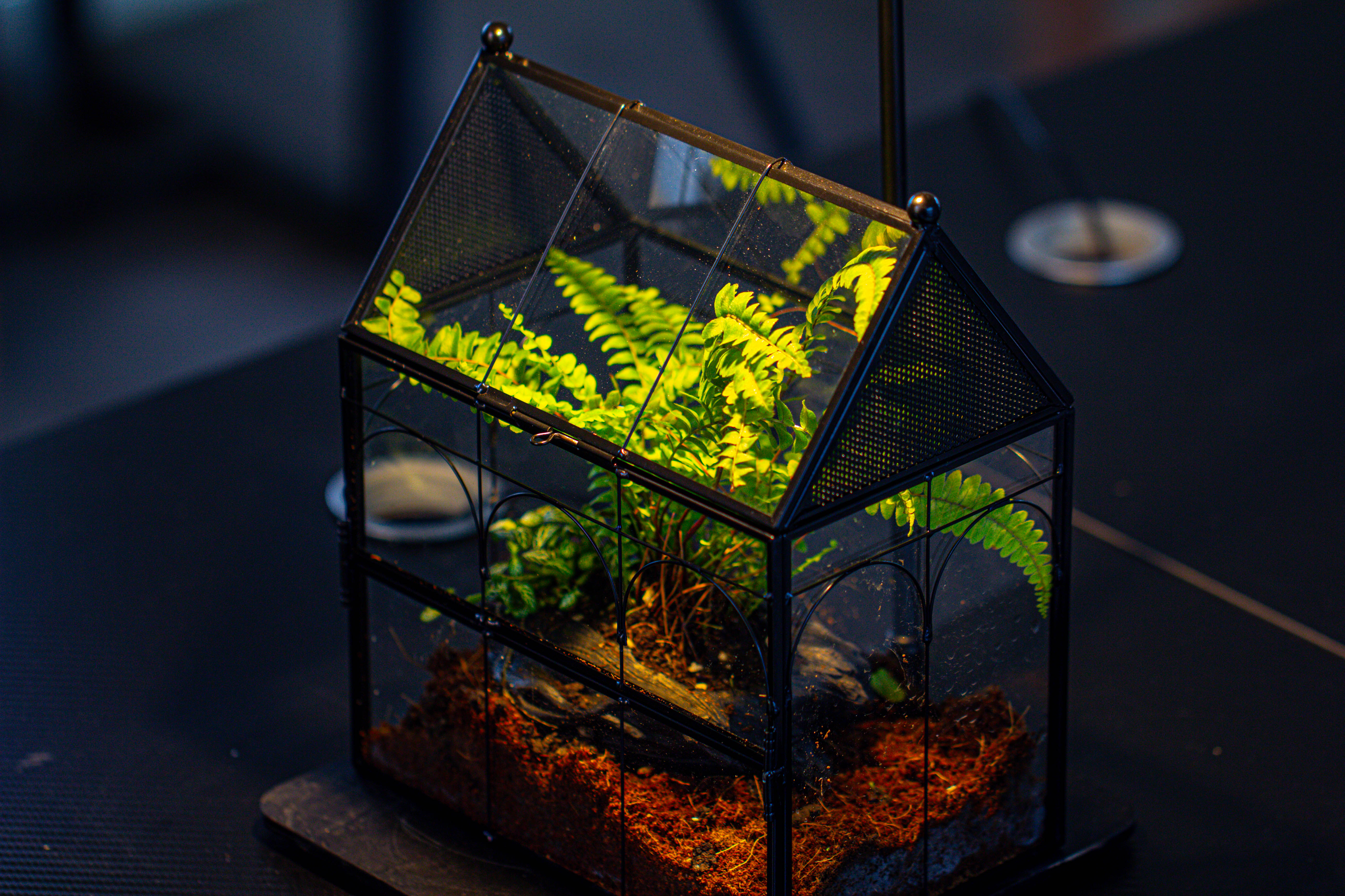 Handmade Terrarium with Light, House Shape Glass Geometric Terrarium with LED Light Set - NCYPgarden