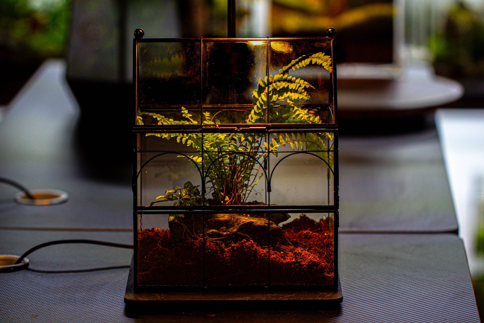 NCYP Vintage House Shape Glass Geometric Terrarium building set, with side door, with Mesh / vent holes for Insects Pet - NCYPgarden