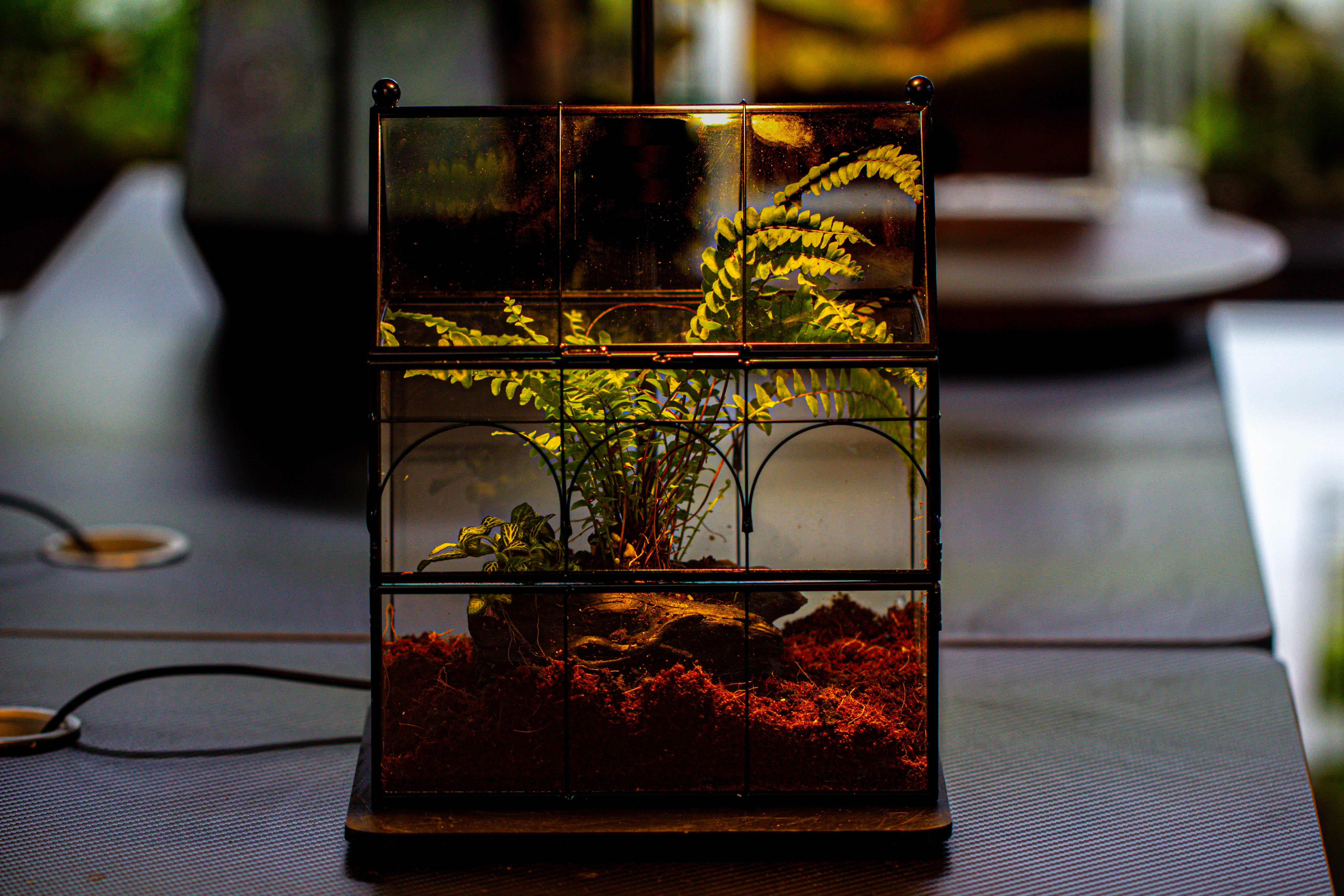 Handmade Terrarium with Light, House Shape Glass Geometric Terrarium with LED Light Set - NCYPgarden