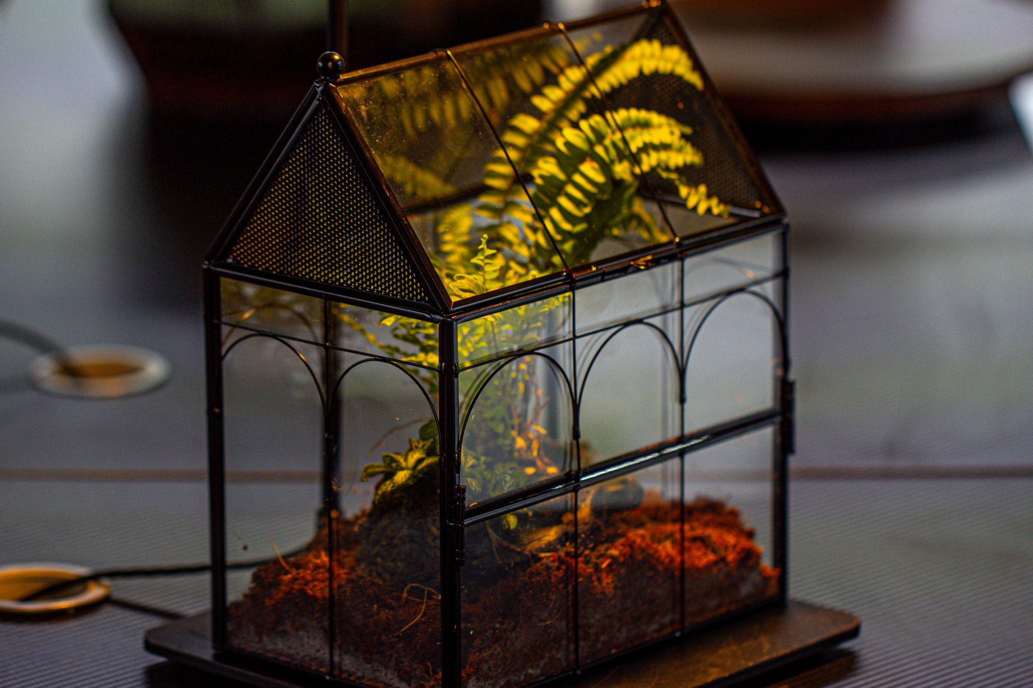 NCYP Vintage House Shape Glass Geometric Terrarium building set, with side door, with Mesh / vent holes for Insects Pet - NCYPgarden