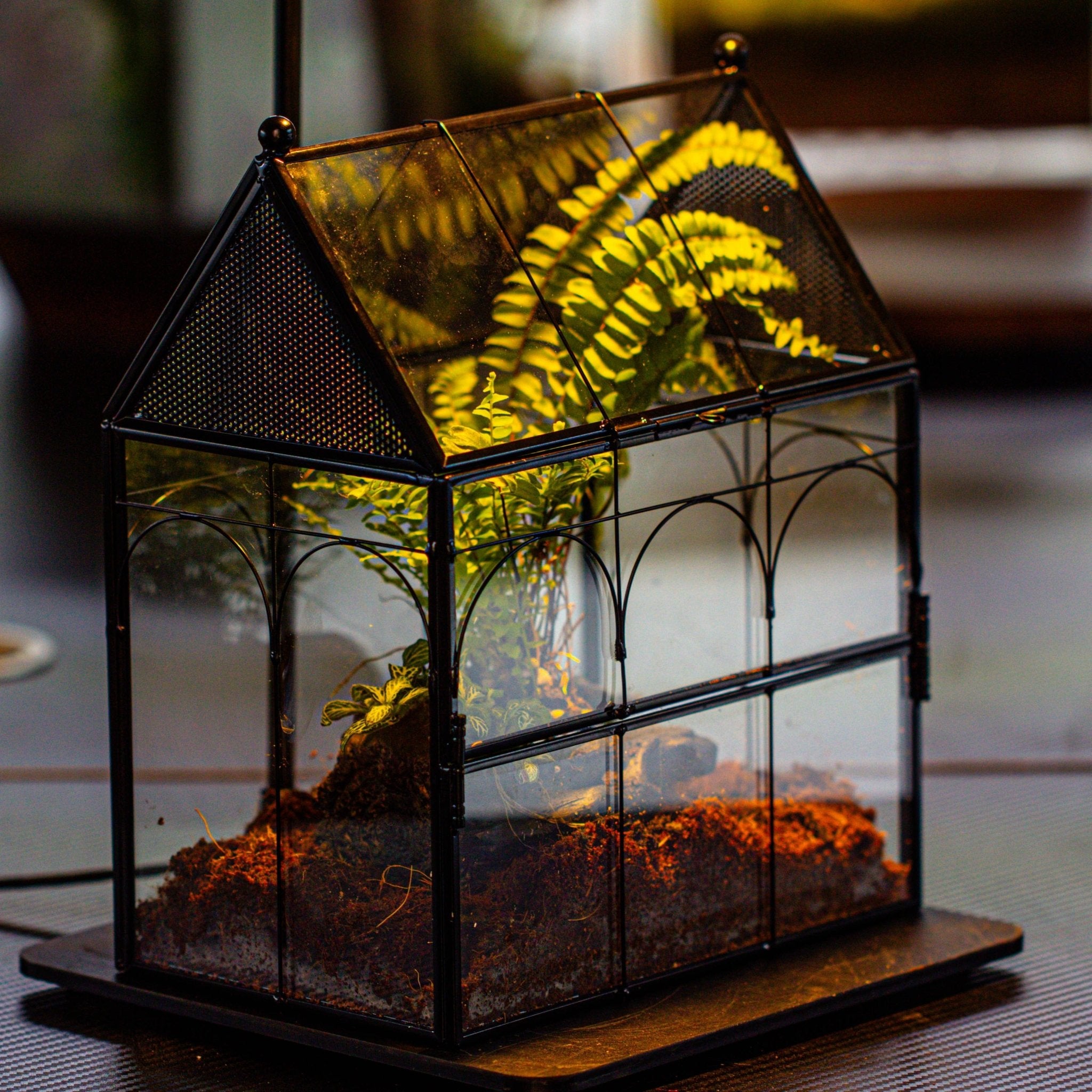 NCYP Vintage House Shape Glass Geometric Terrarium building set, with side door, with Mesh / vent holes for Insects Pet - NCYPgarden