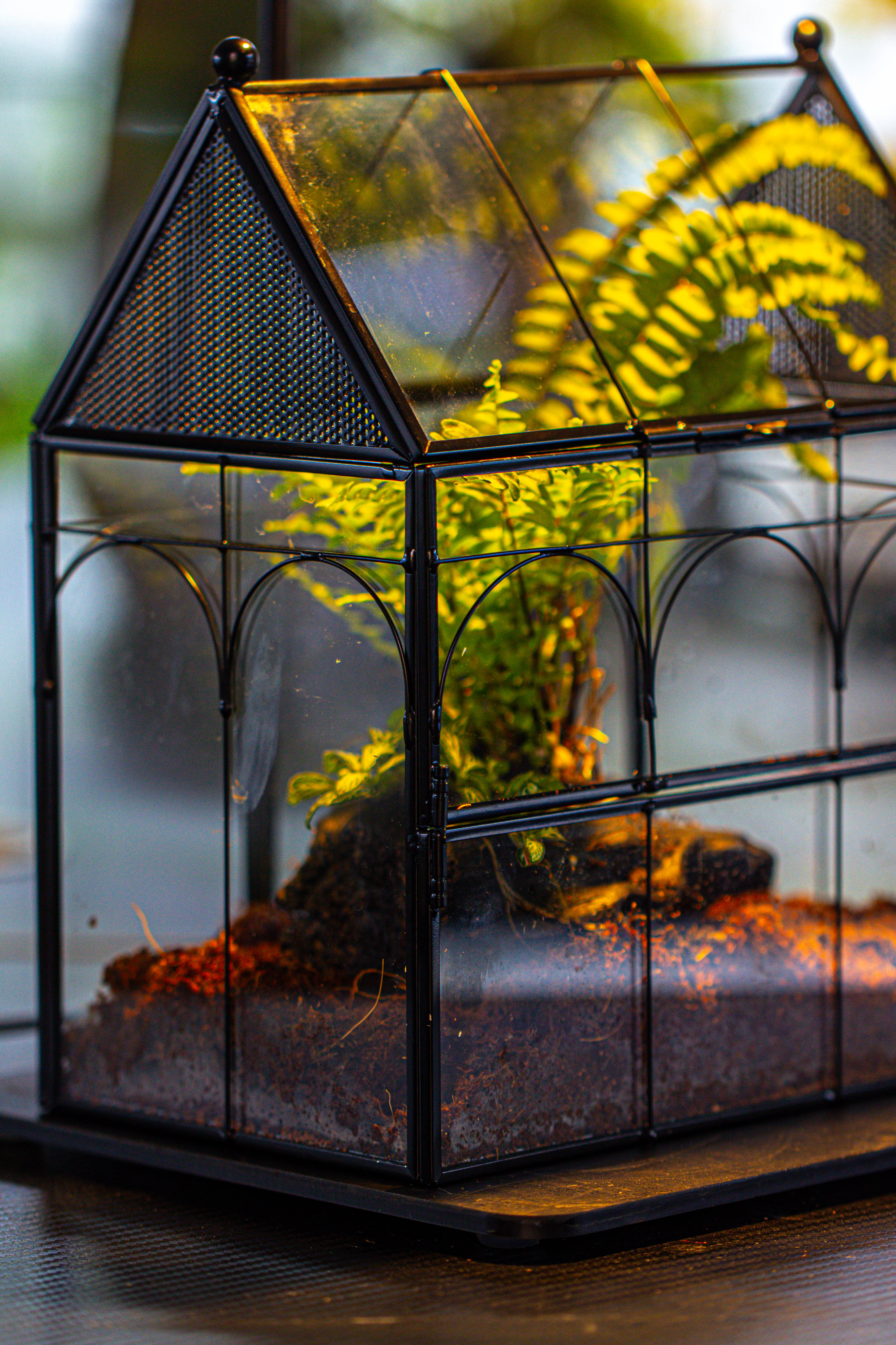 NCYP Vintage House Shape Glass Geometric Terrarium, with side door, with Mesh / vent holes for small Insects Pet - NCYPgarden