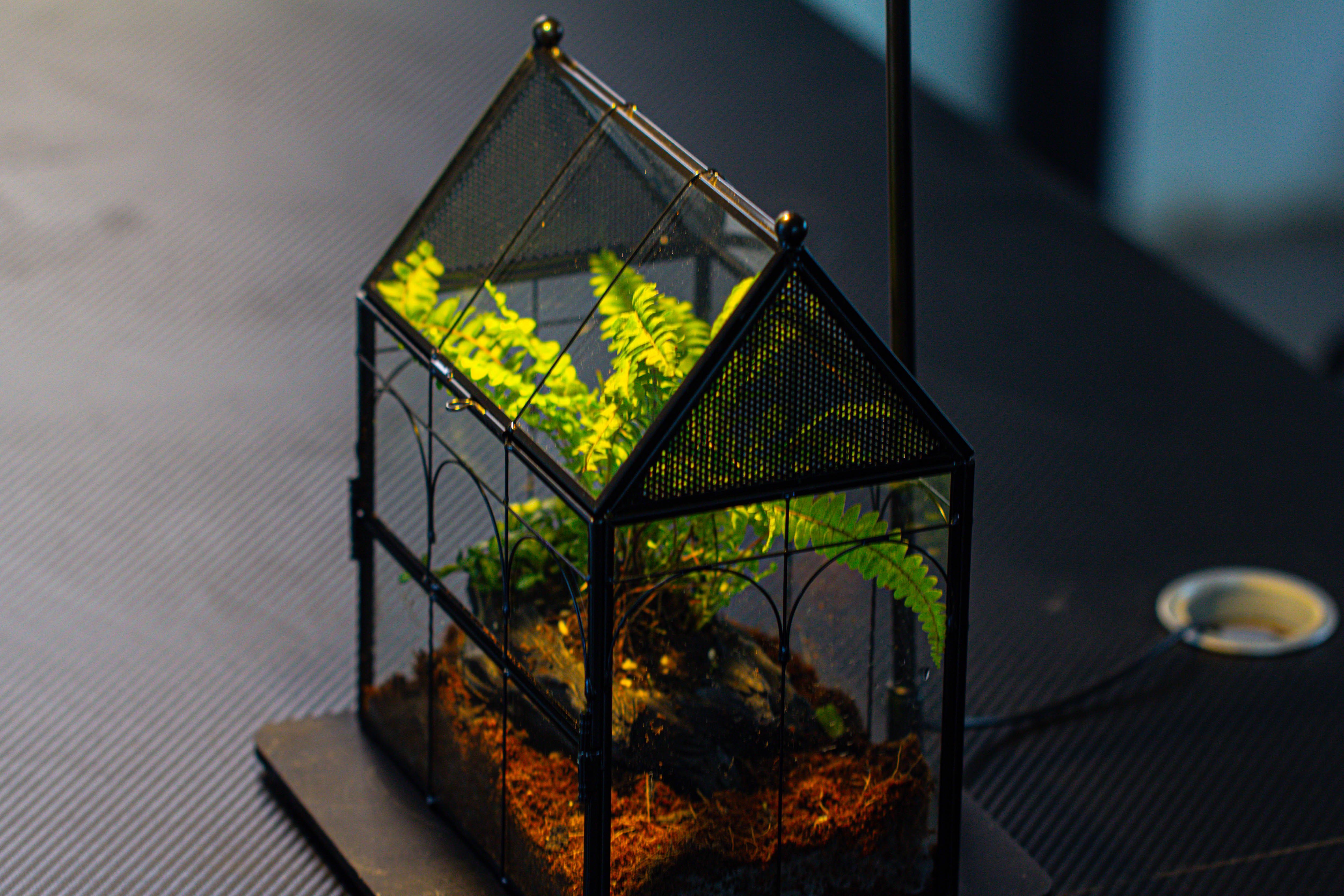 NCYP Vintage House Shape Glass Geometric Terrarium, with side door, with Mesh / vent holes for small Insects Pet - NCYPgarden
