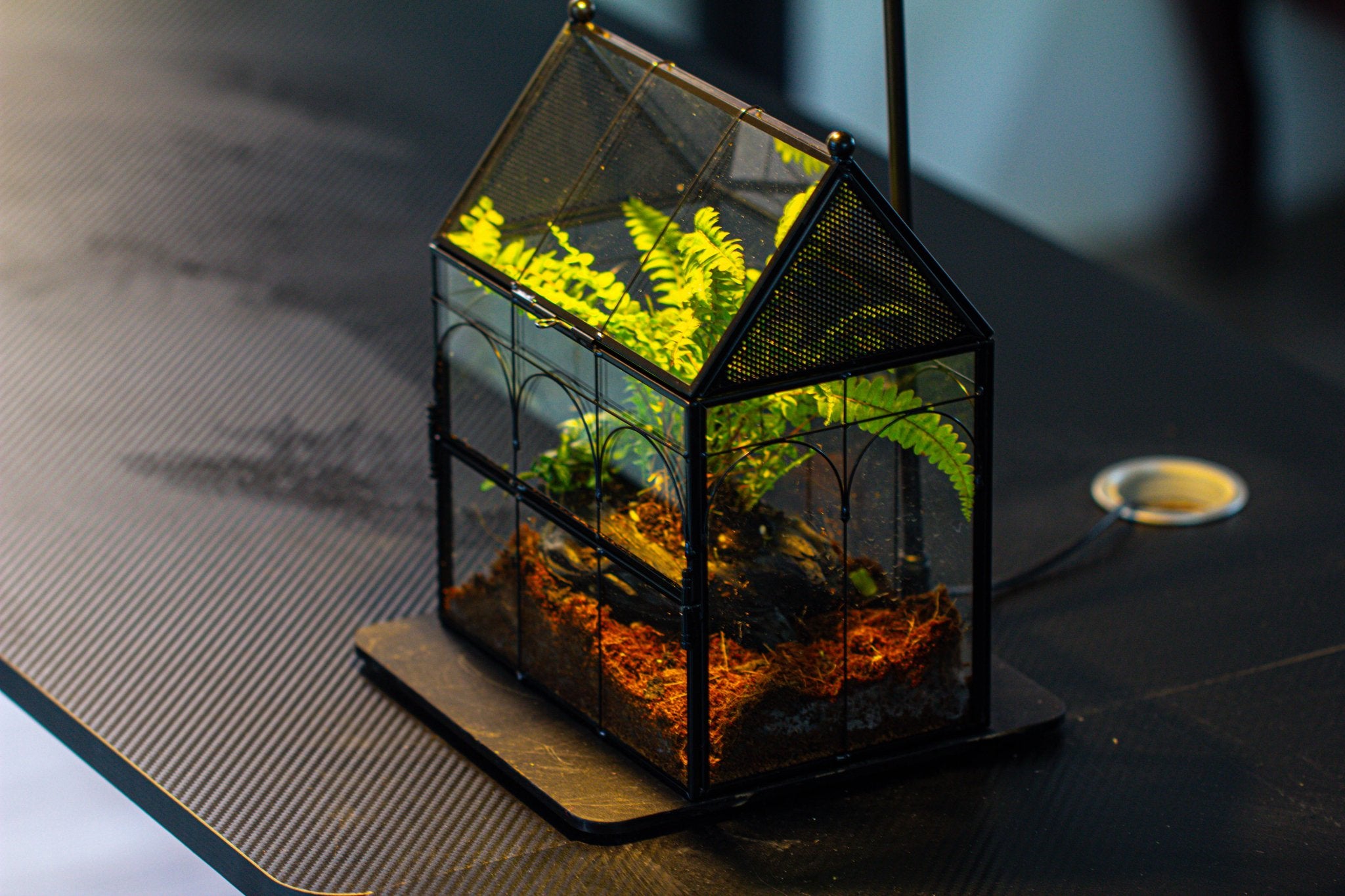 NCYP Vintage House Shape Glass Geometric Terrarium building set, with side door, with Mesh / vent holes for Insects Pet - NCYPgarden