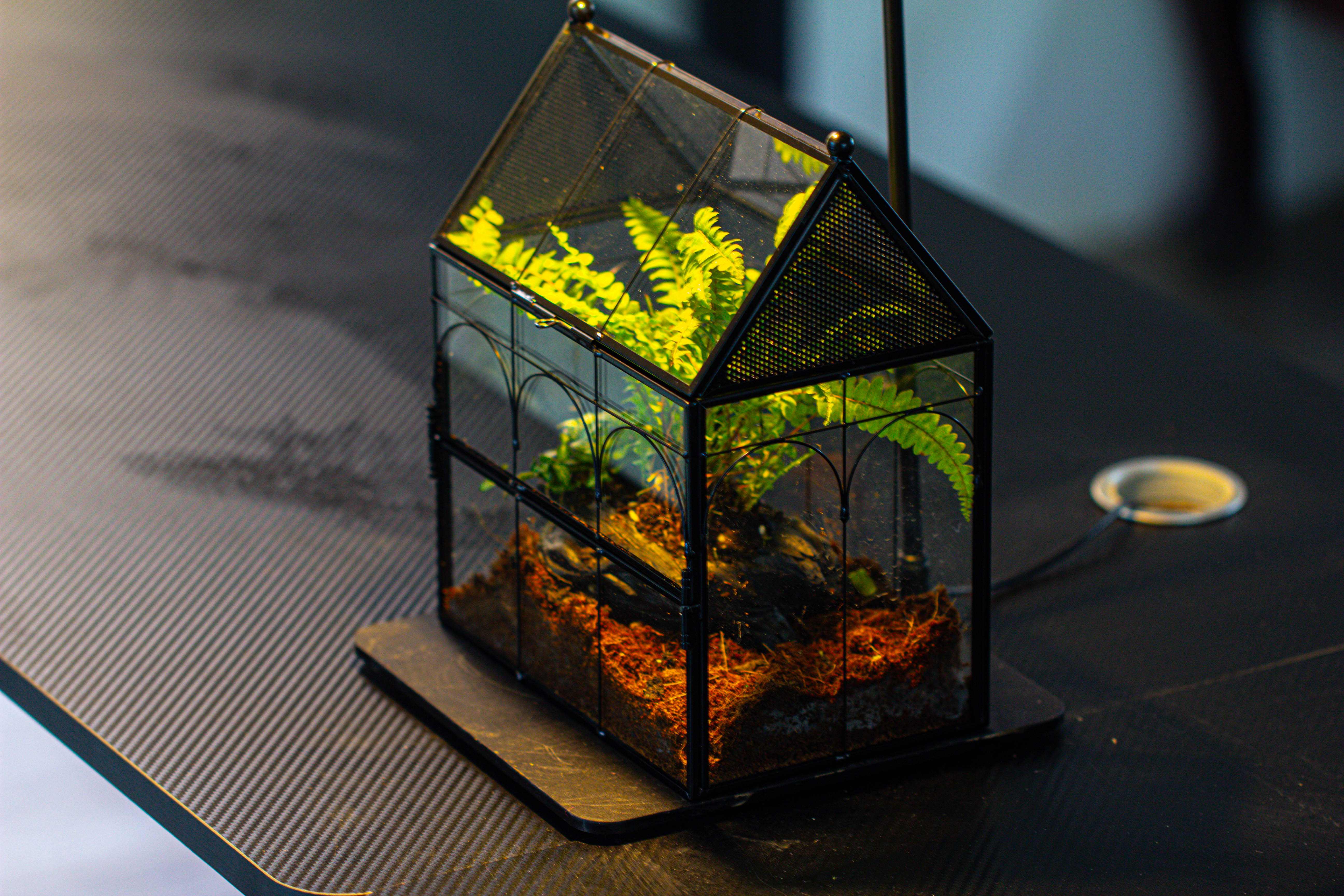 Handmade Terrarium with Light, House Shape Glass Geometric Terrarium with LED Light Set - NCYPgarden