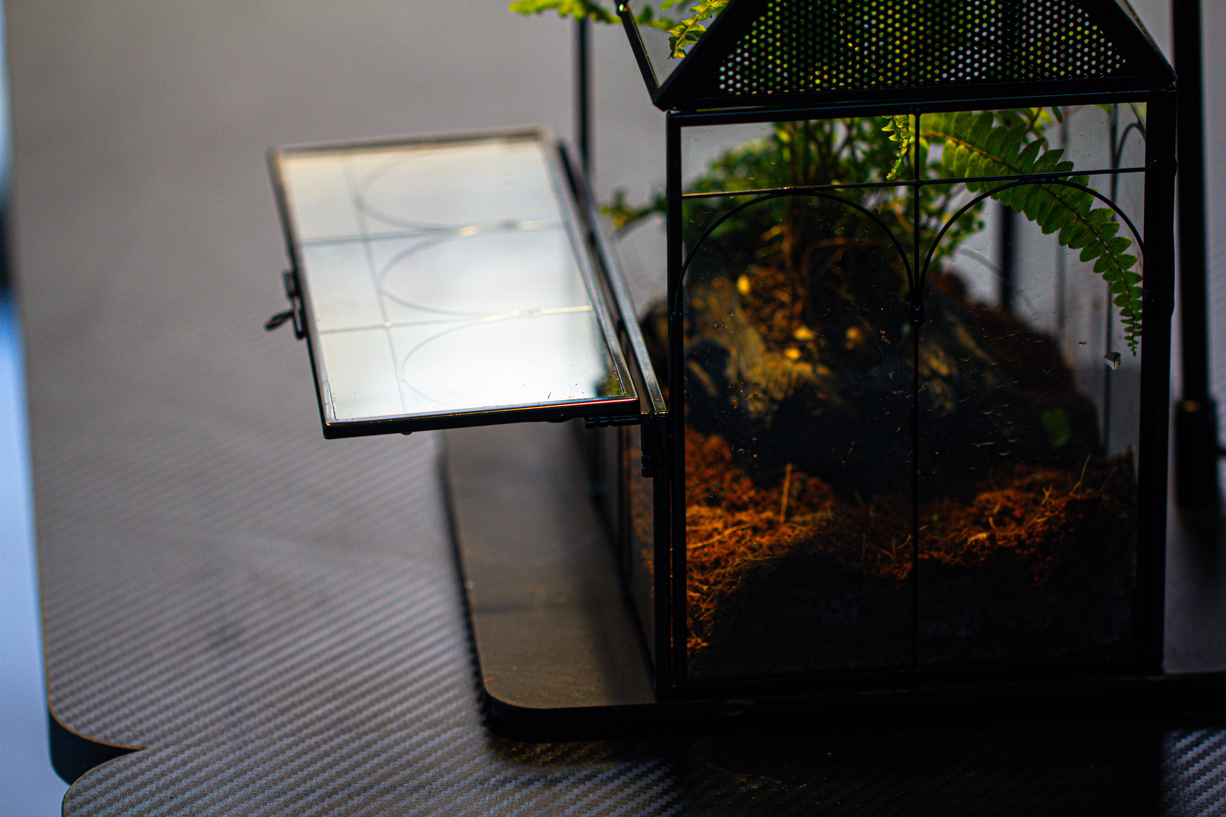 NCYP Vintage House Shape Glass Geometric Terrarium, with side door, with Mesh / vent holes for small Insects Pet - NCYPgarden