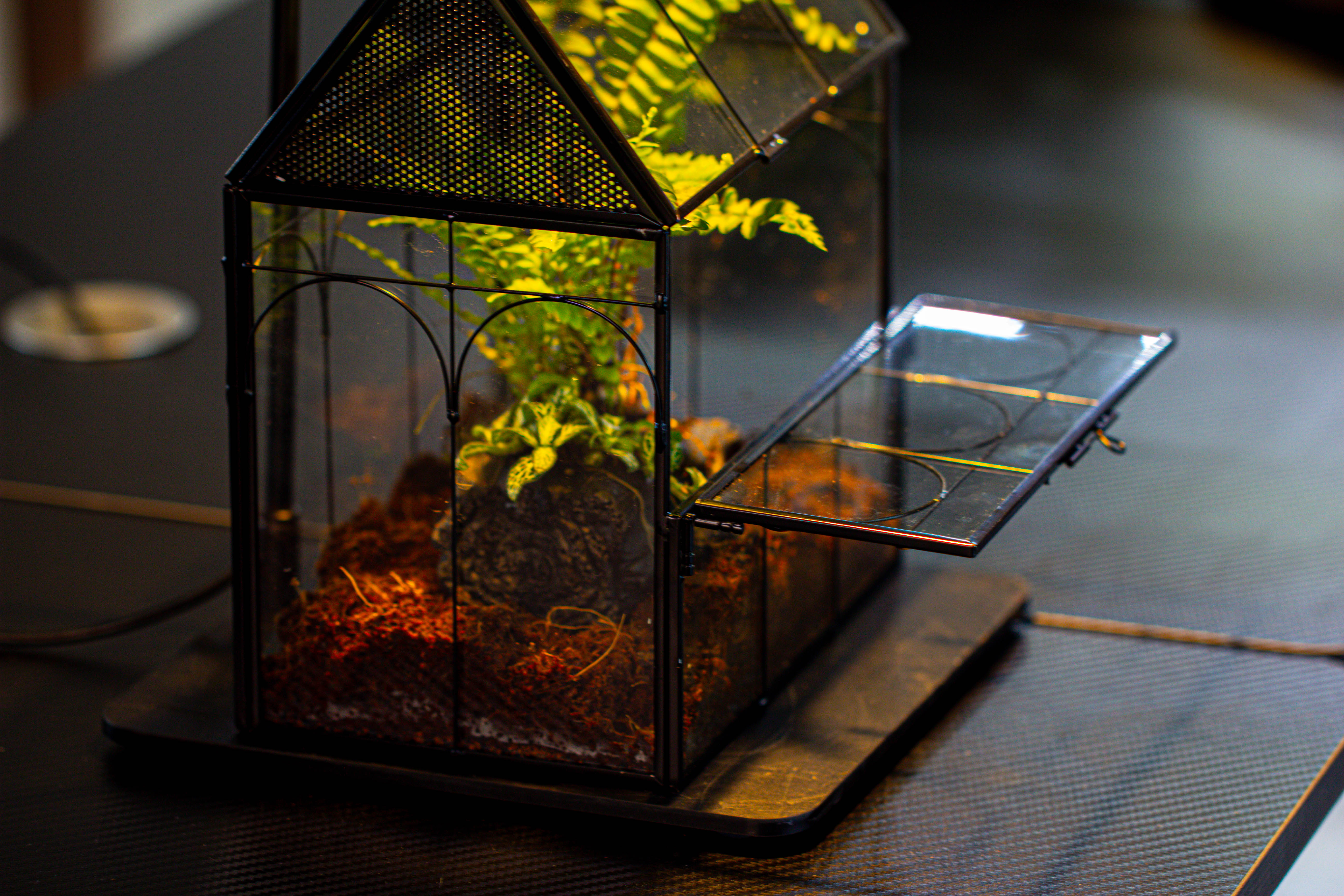 NCYP Vintage House Shape Glass Geometric Terrarium, with side door, with Mesh / vent holes for small Insects Pet - NCYPgarden