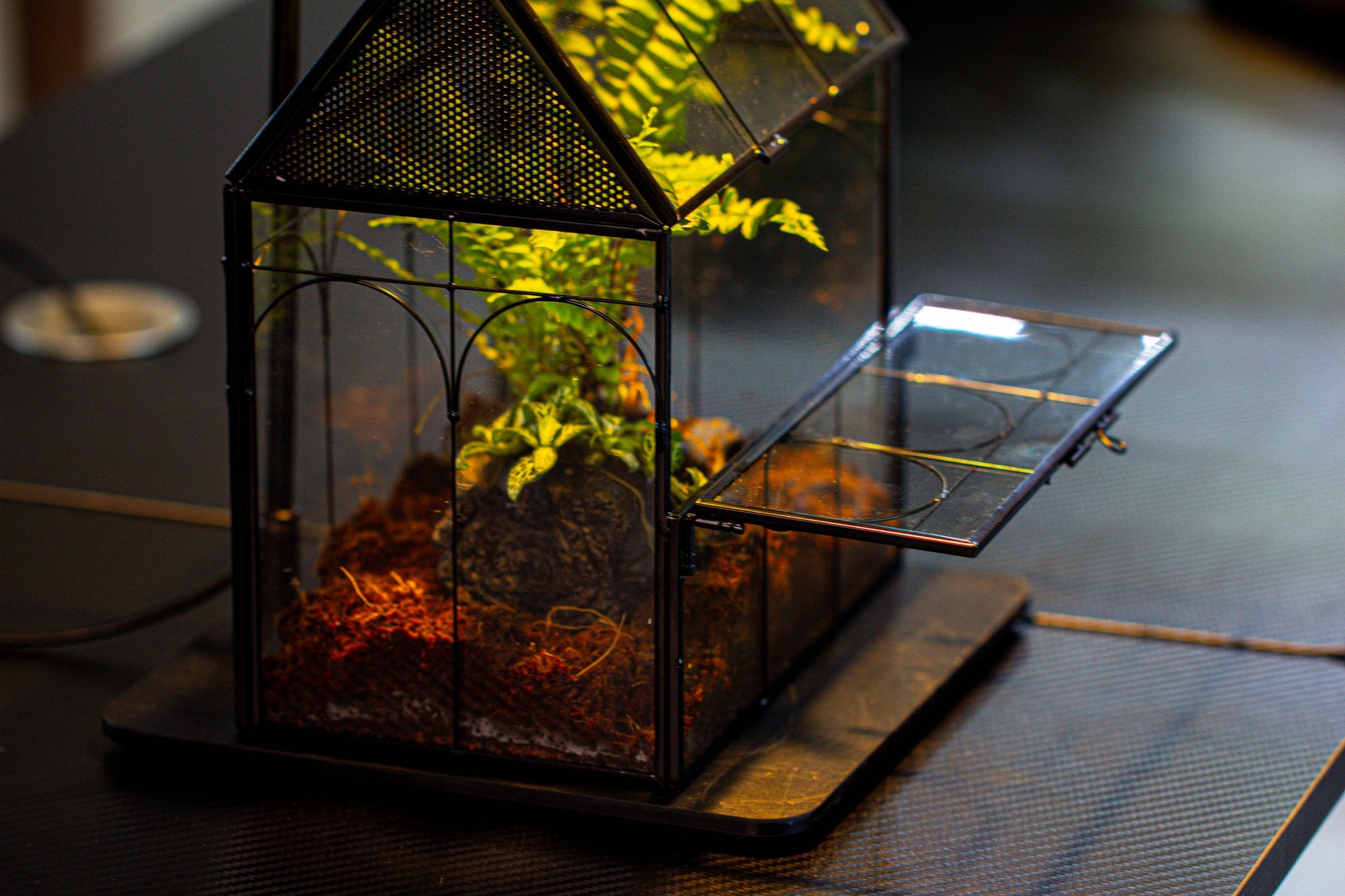 NCYP Vintage House Shape Glass Geometric Terrarium building set, with side door, with Mesh / vent holes for Insects Pet - NCYPgarden