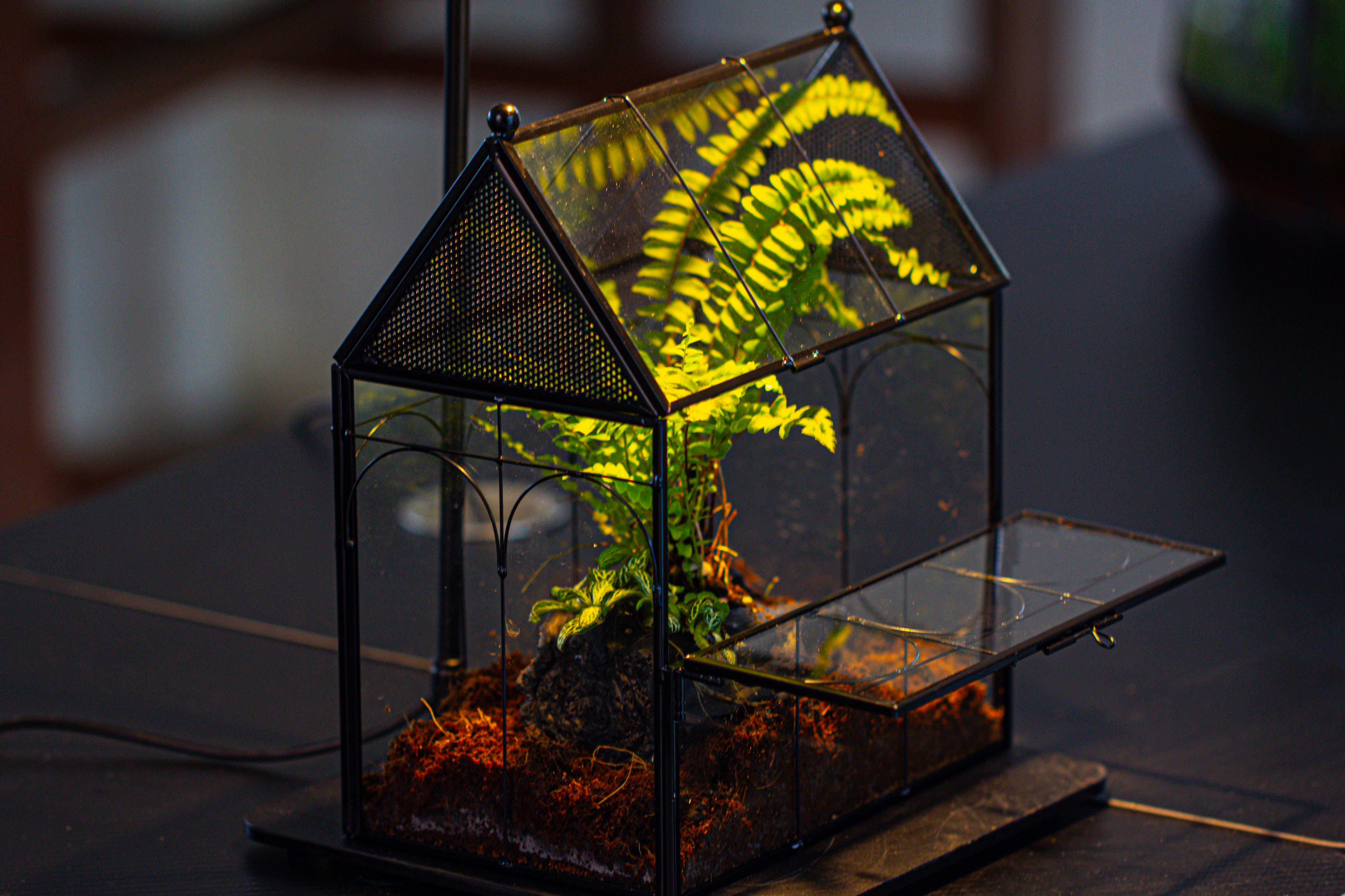 NCYP Vintage House Shape Glass Geometric Terrarium, with side door, with Mesh / vent holes for small Insects Pet - NCYPgarden