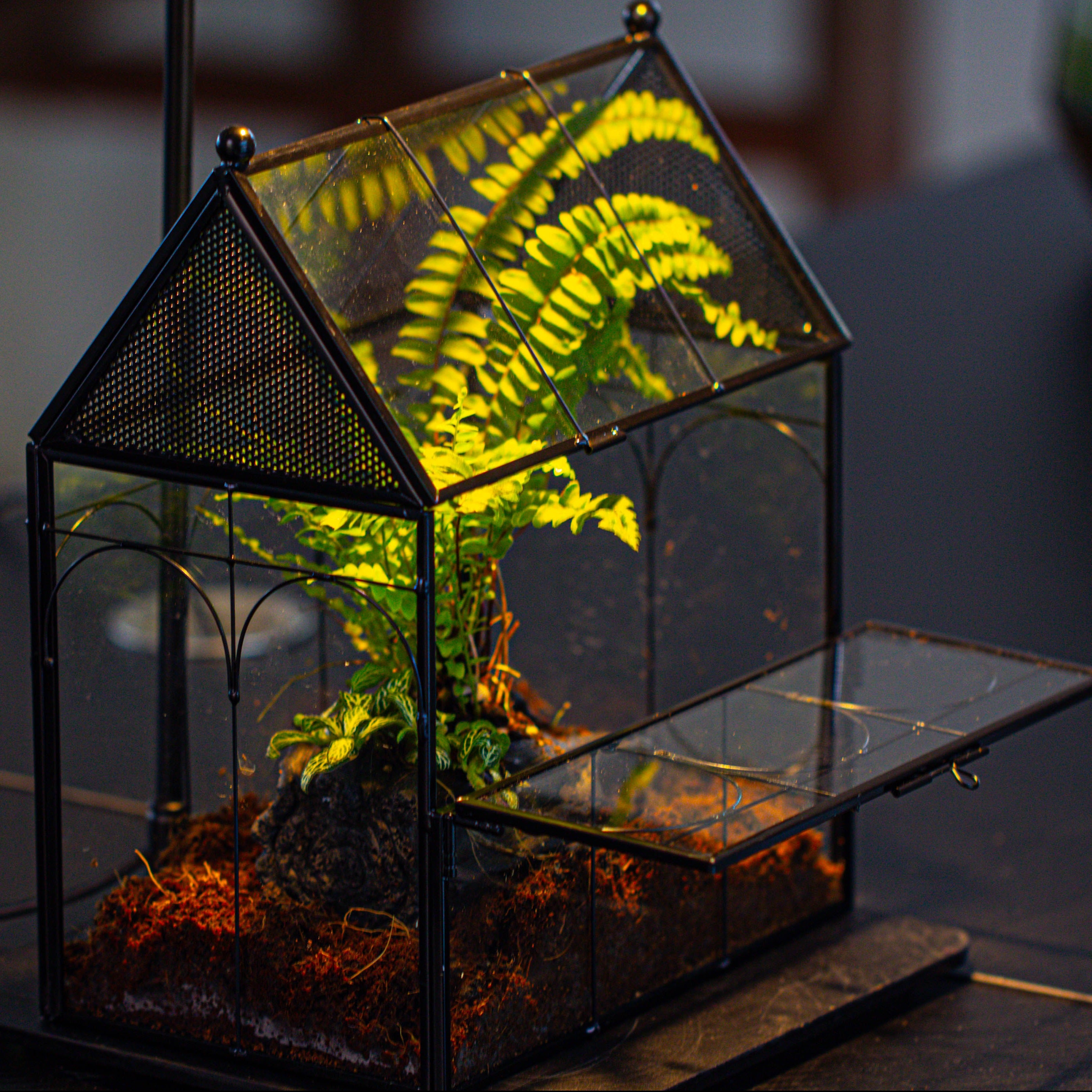 NCYP Vintage House Shape Glass Geometric Terrarium, with side door, with Mesh / vent holes for small Insects Pet building set - NCYPgarden