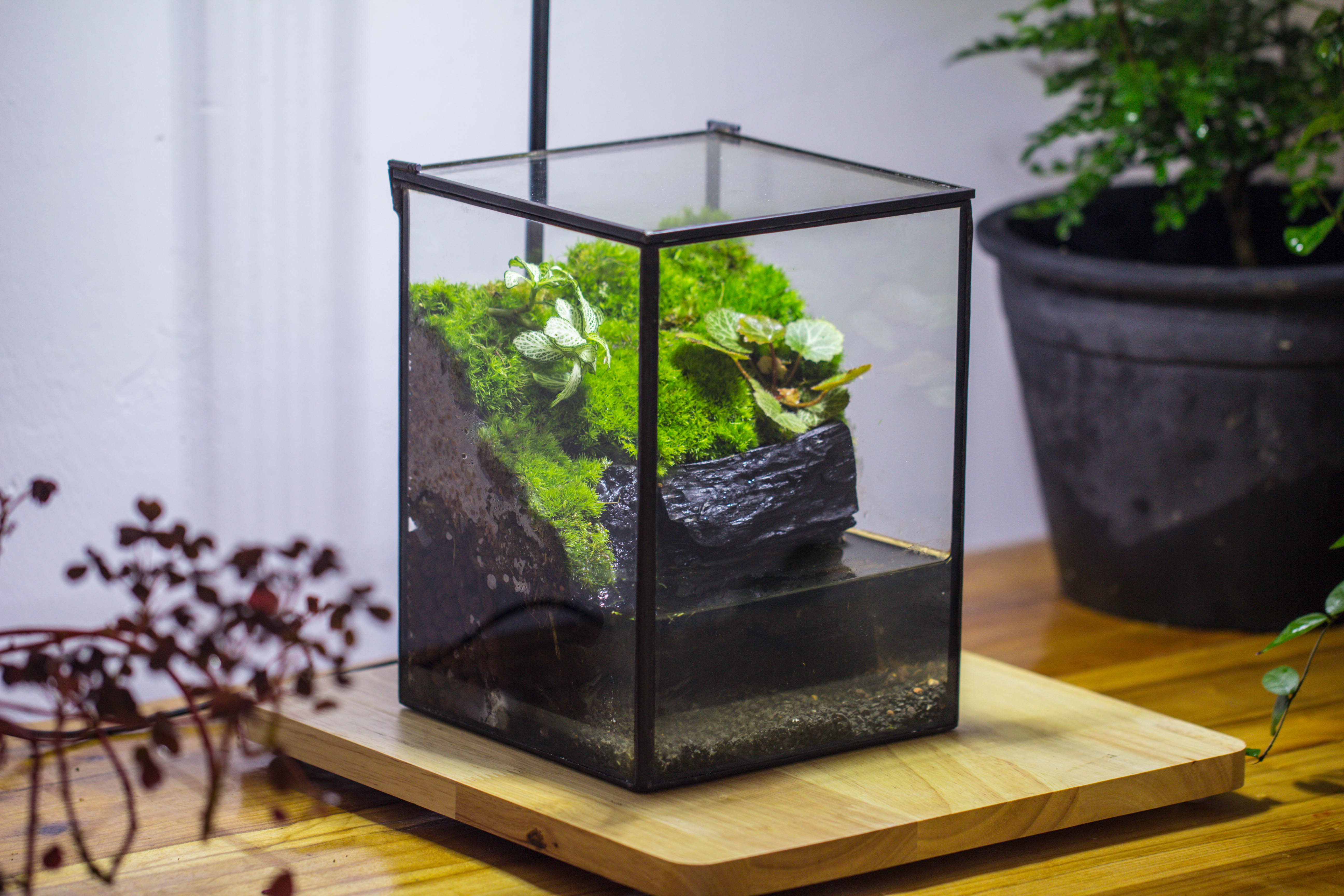 NCYP Watertight Close Geometric Glass Tin Terrarium, for small waterpond, moss landscape, Live Miniature, water pond, miniature - NCYPgarden