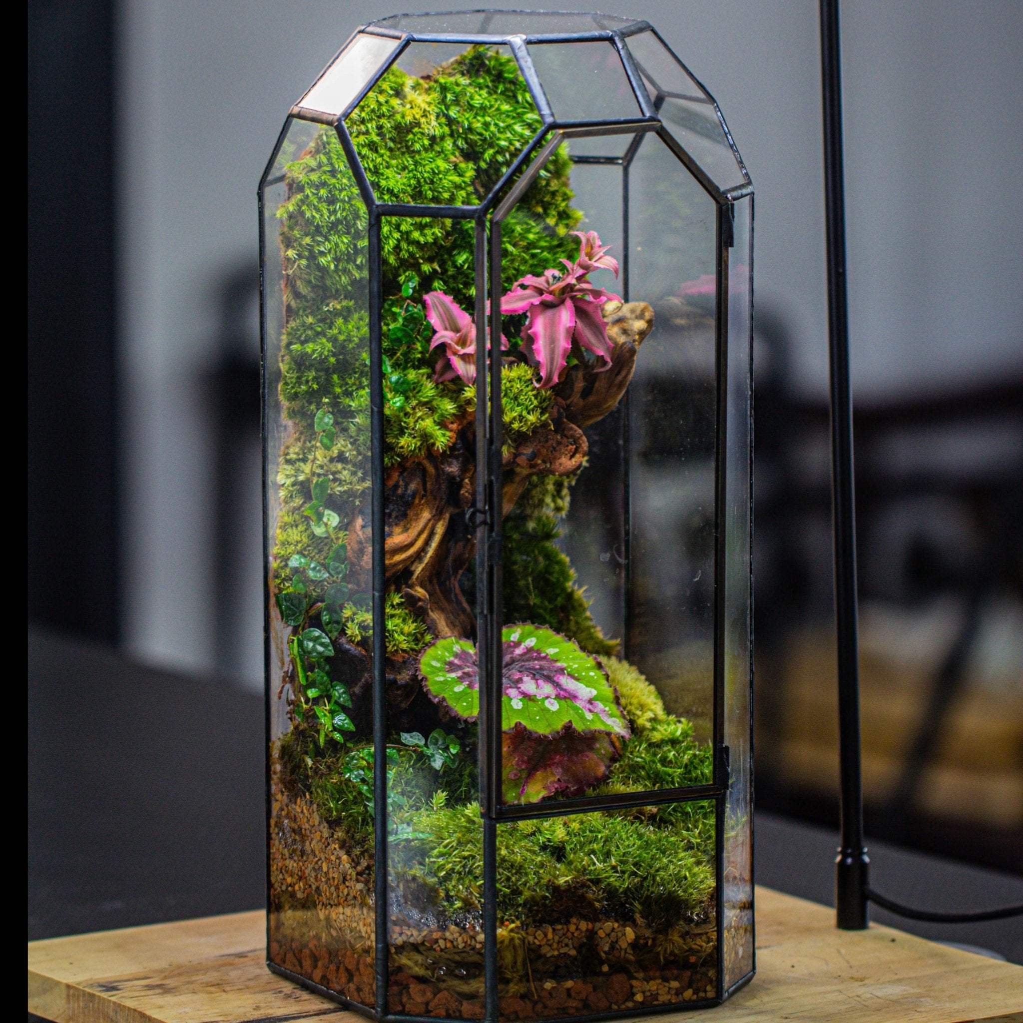 Vintage Tall Octagon Geometric Tin Glass Terrarium , 12.6" , close, suitable for tall plants, orchid, small begonia Pitcher, Micro landscape PG05B2 - NCYPgarden