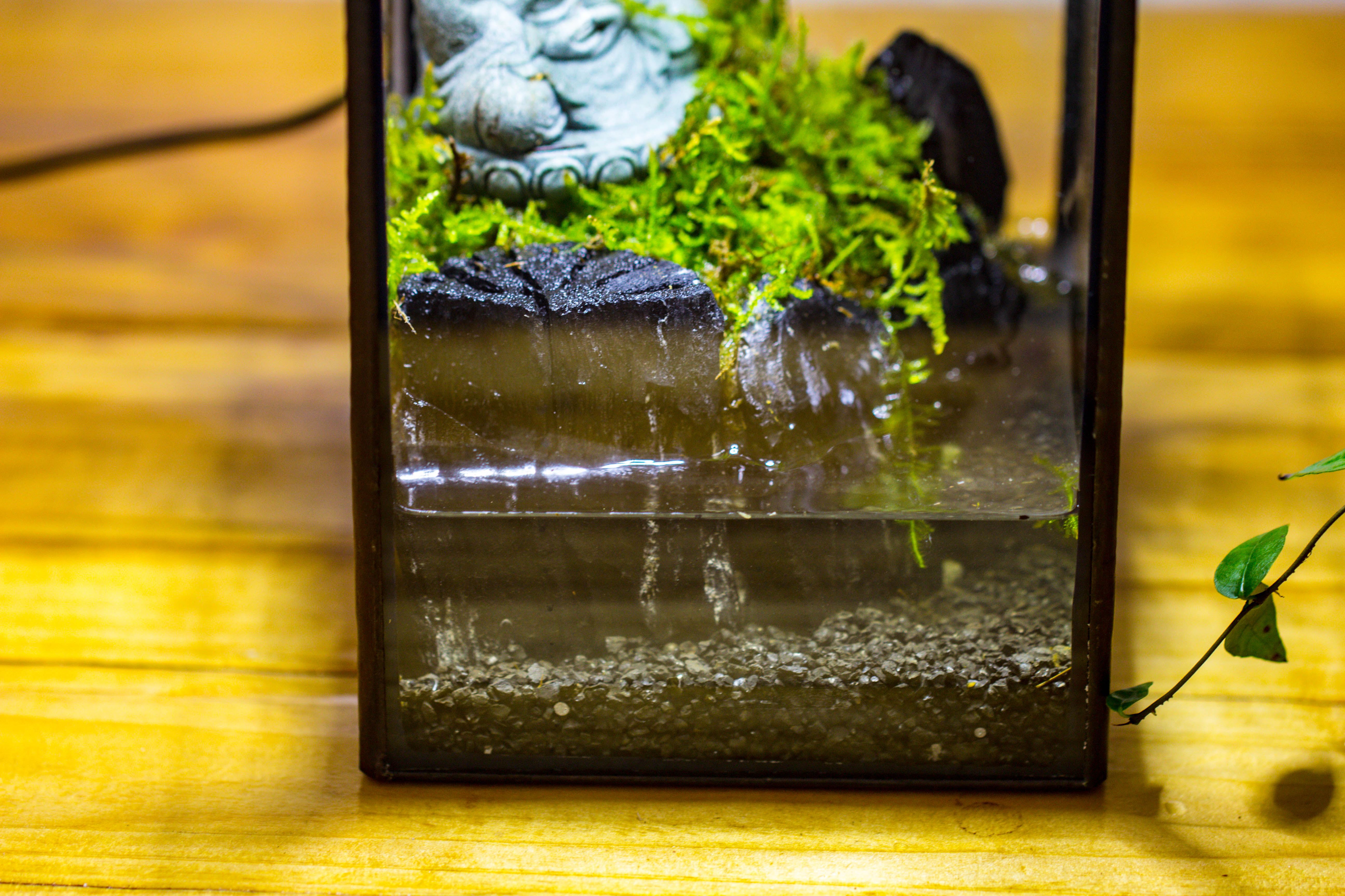 NCYP Watertight Open Geometric Glass Tin Terrarium, for small waterpond, Bog, moss landscape, Water pond, Carnivorous Plants - NCYPgarden