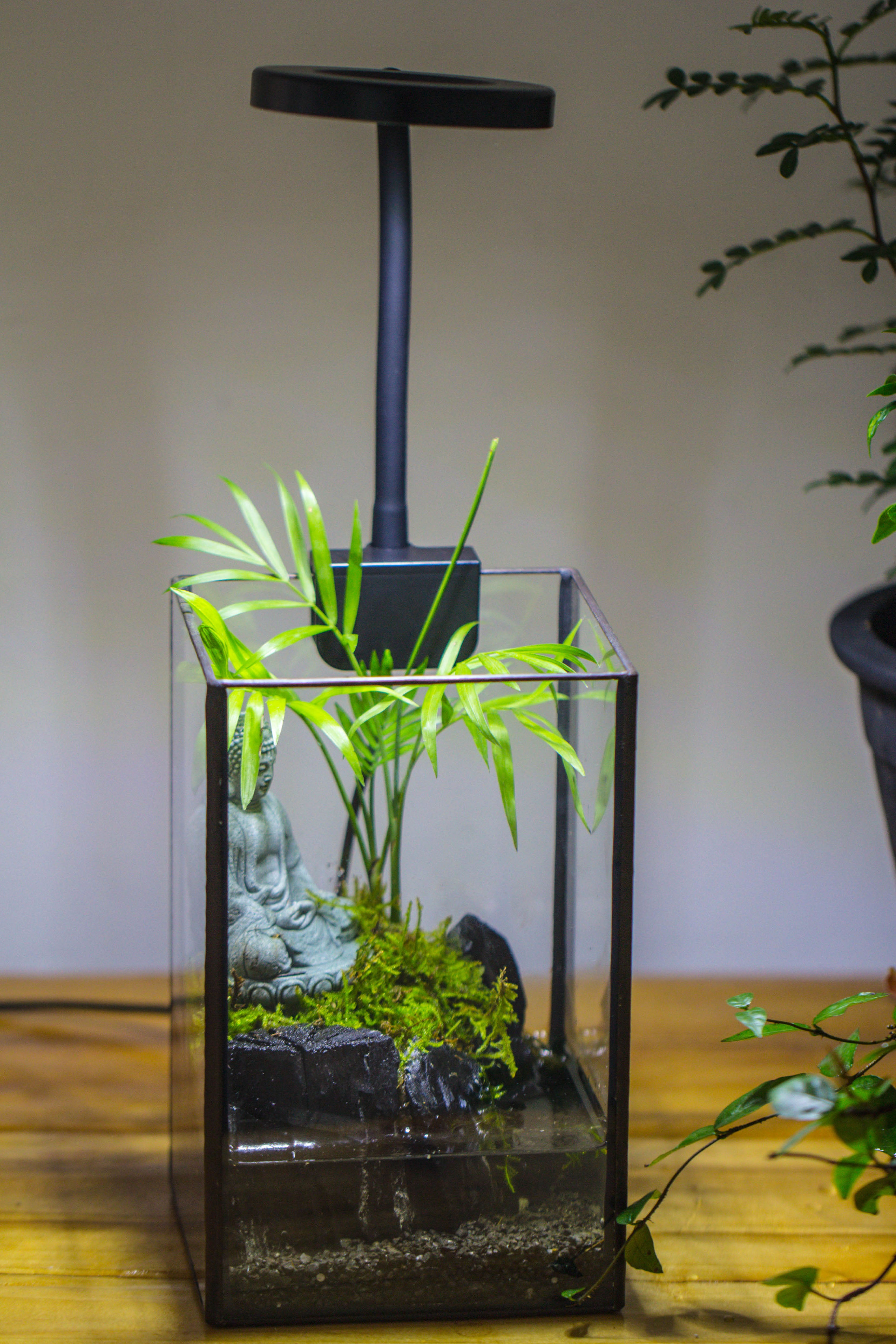 NCYP Watertight Open Geometric Glass Tin Terrarium, for small waterpond, Bog, moss landscape, Water pond, Carnivorous Plants - NCYPgarden